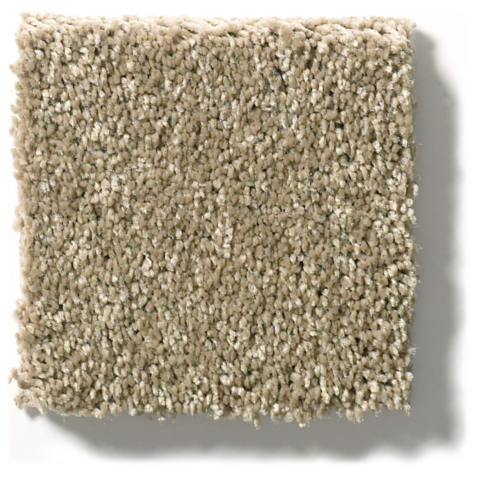 BASIC RULES GOLD RUSH SWATCH