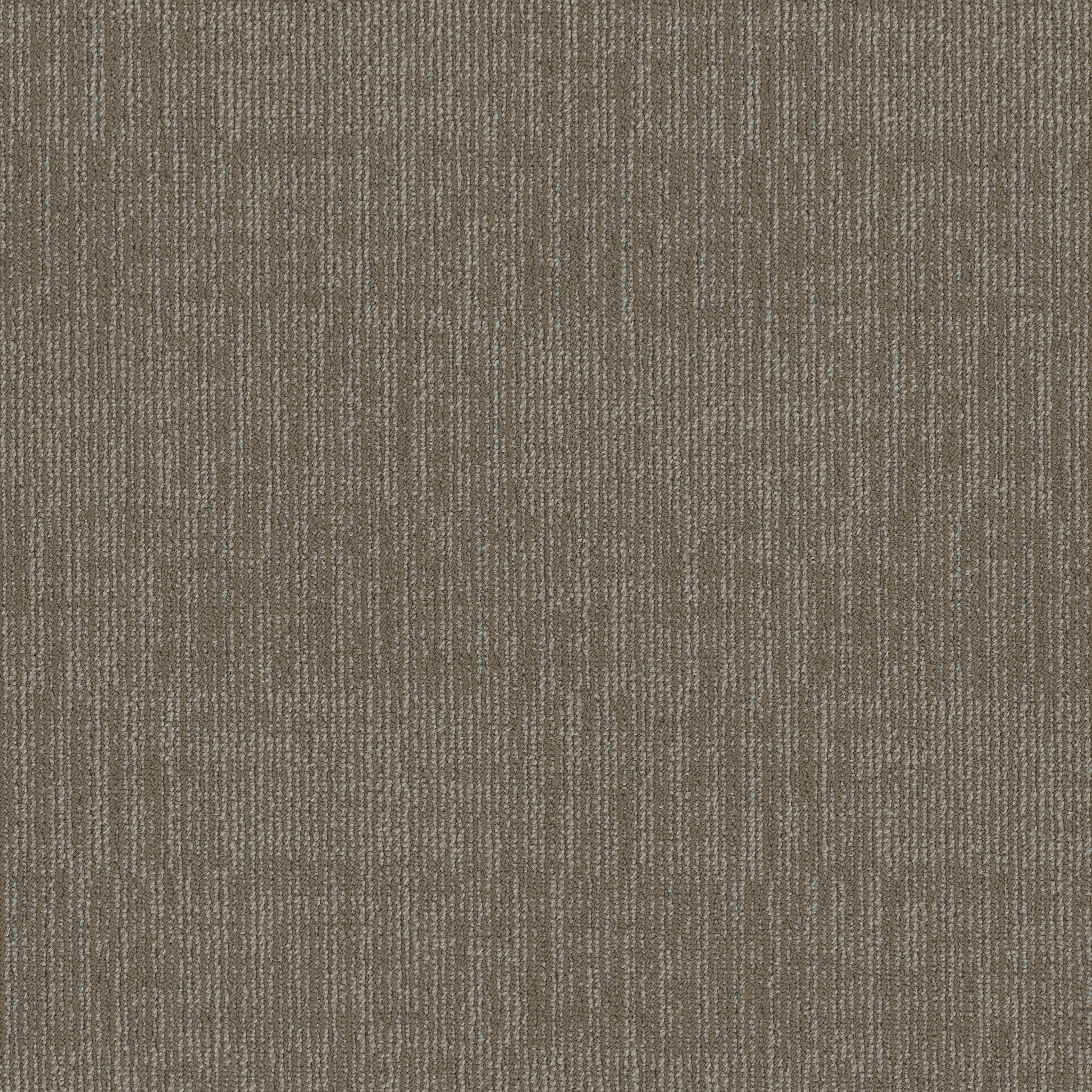 FACT-54907-DIVERSIFY-00105-main-image