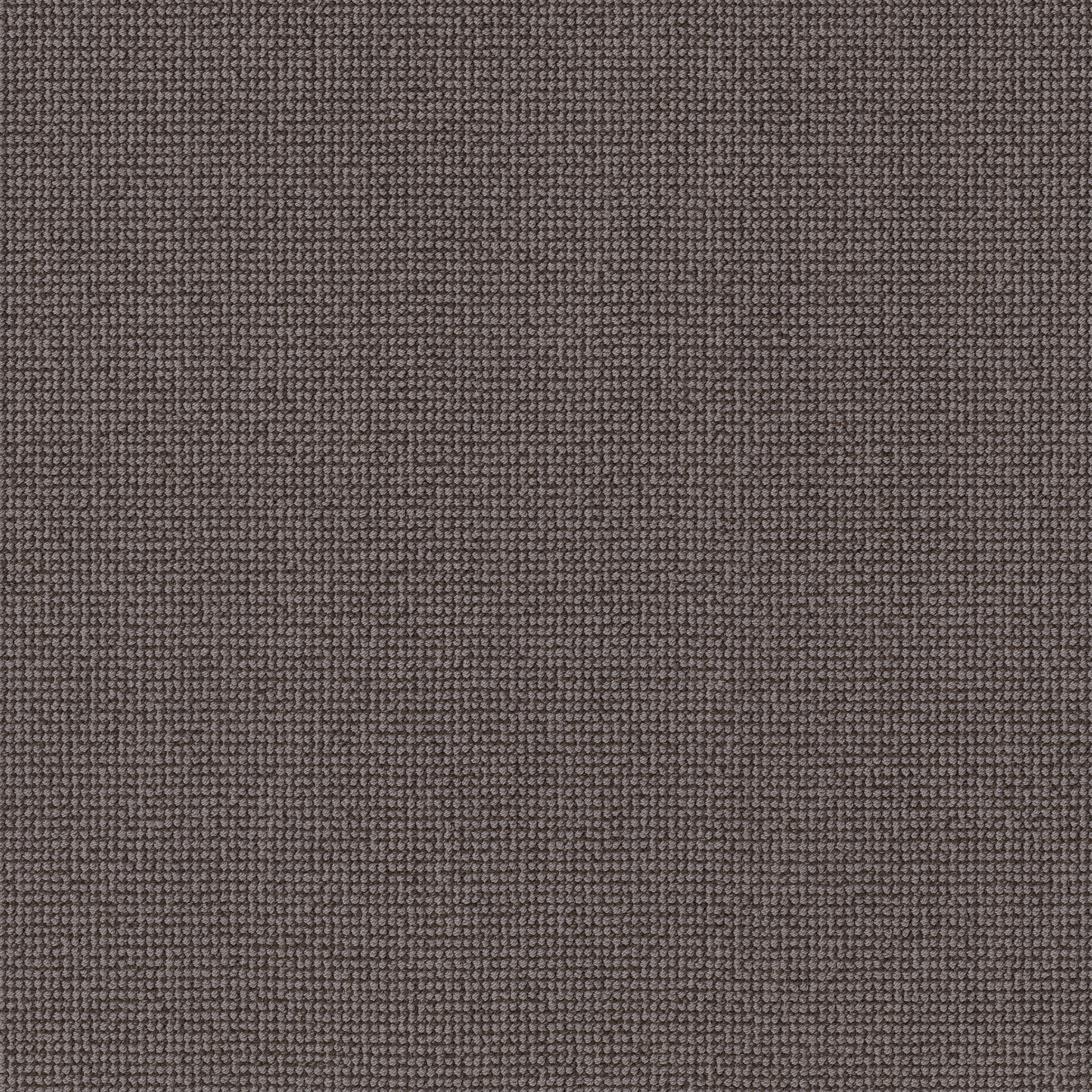 ALLURING METEORITE MAIN