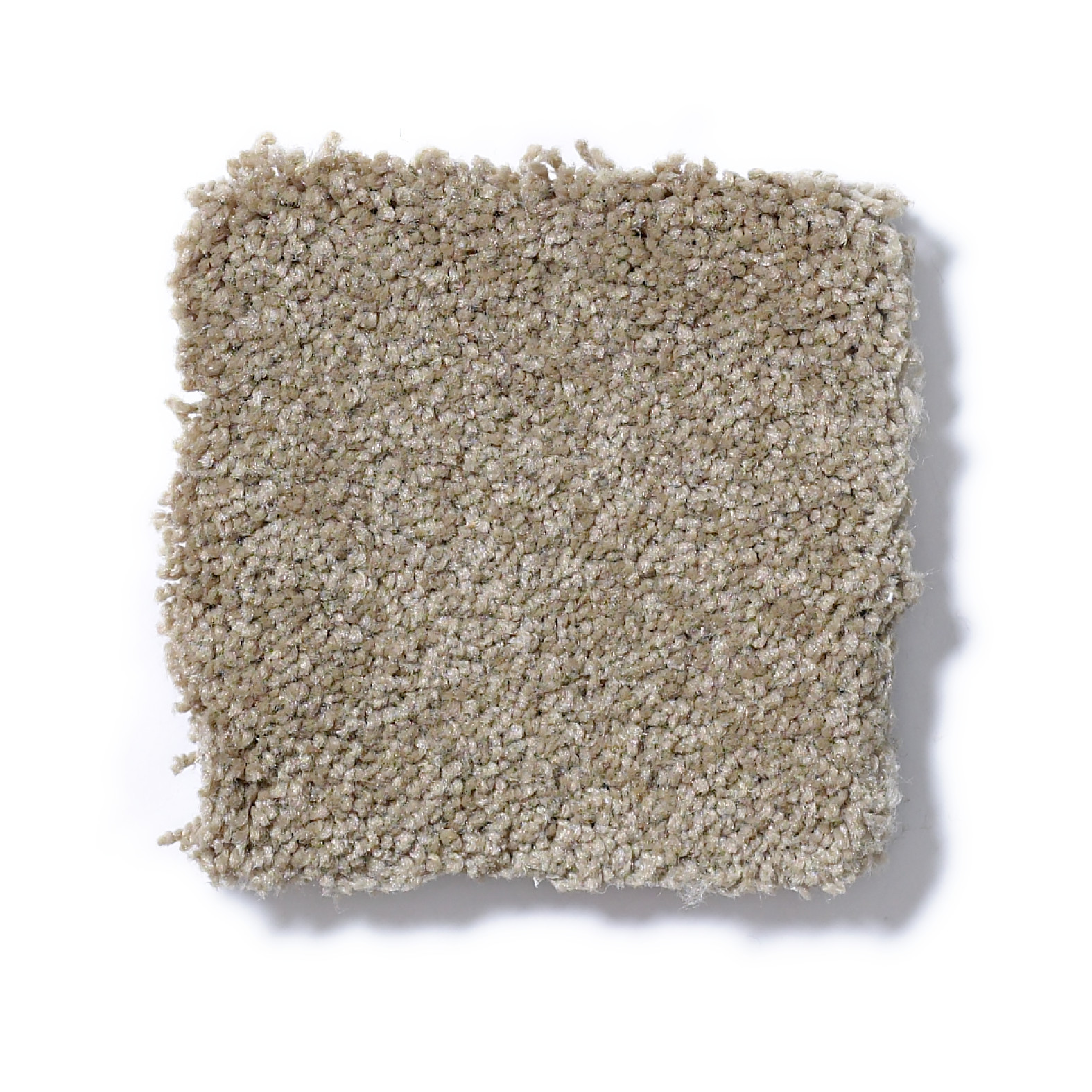 SHINGLE CREEK I 15 SAHARA SWATCH