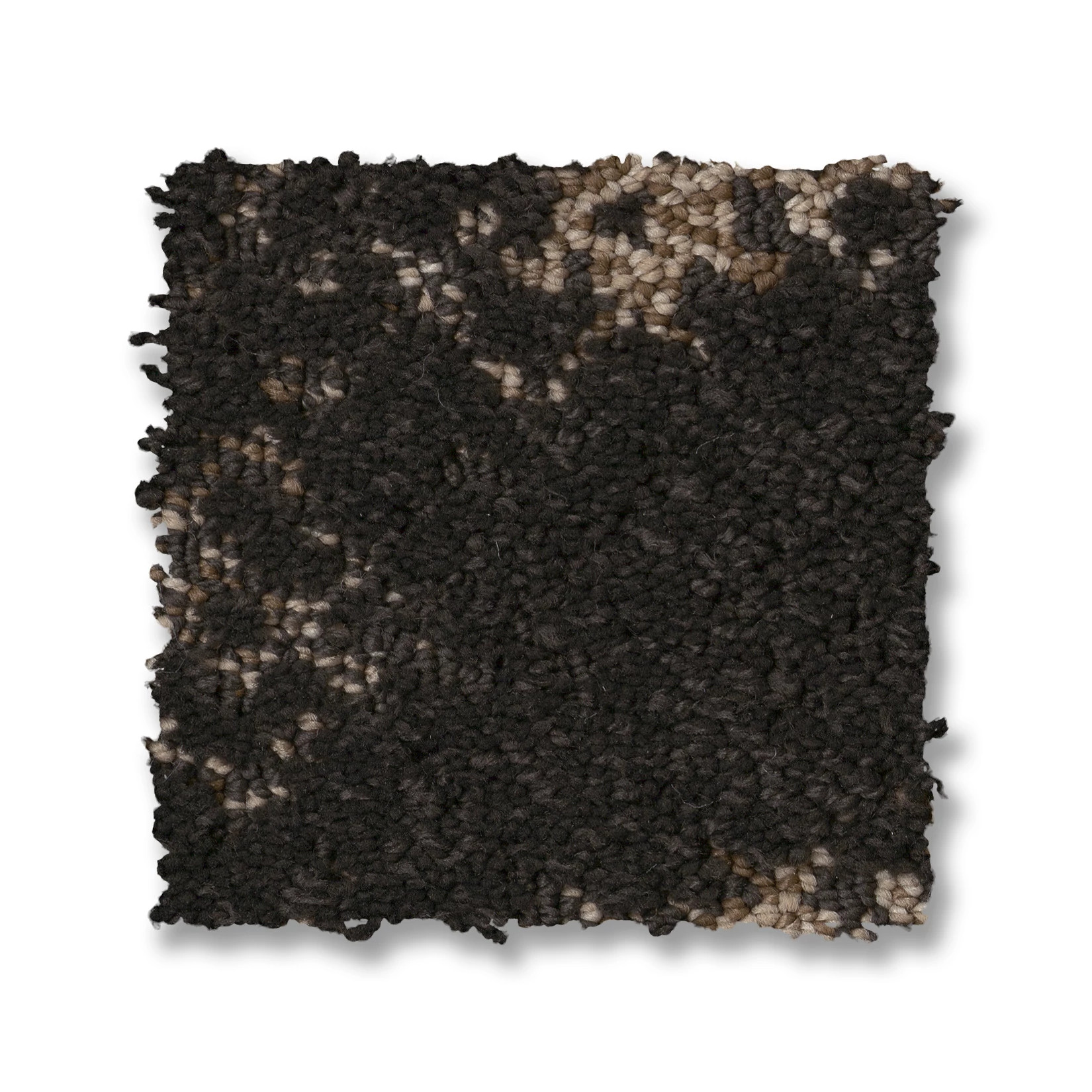 EVOKE DARK ROAST SWATCH