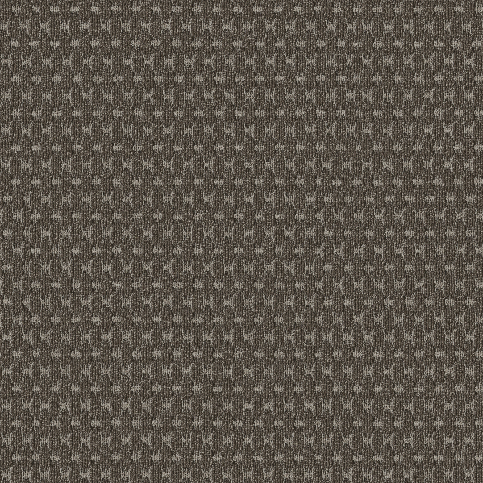 HAVENCREST METEORITE MAIN