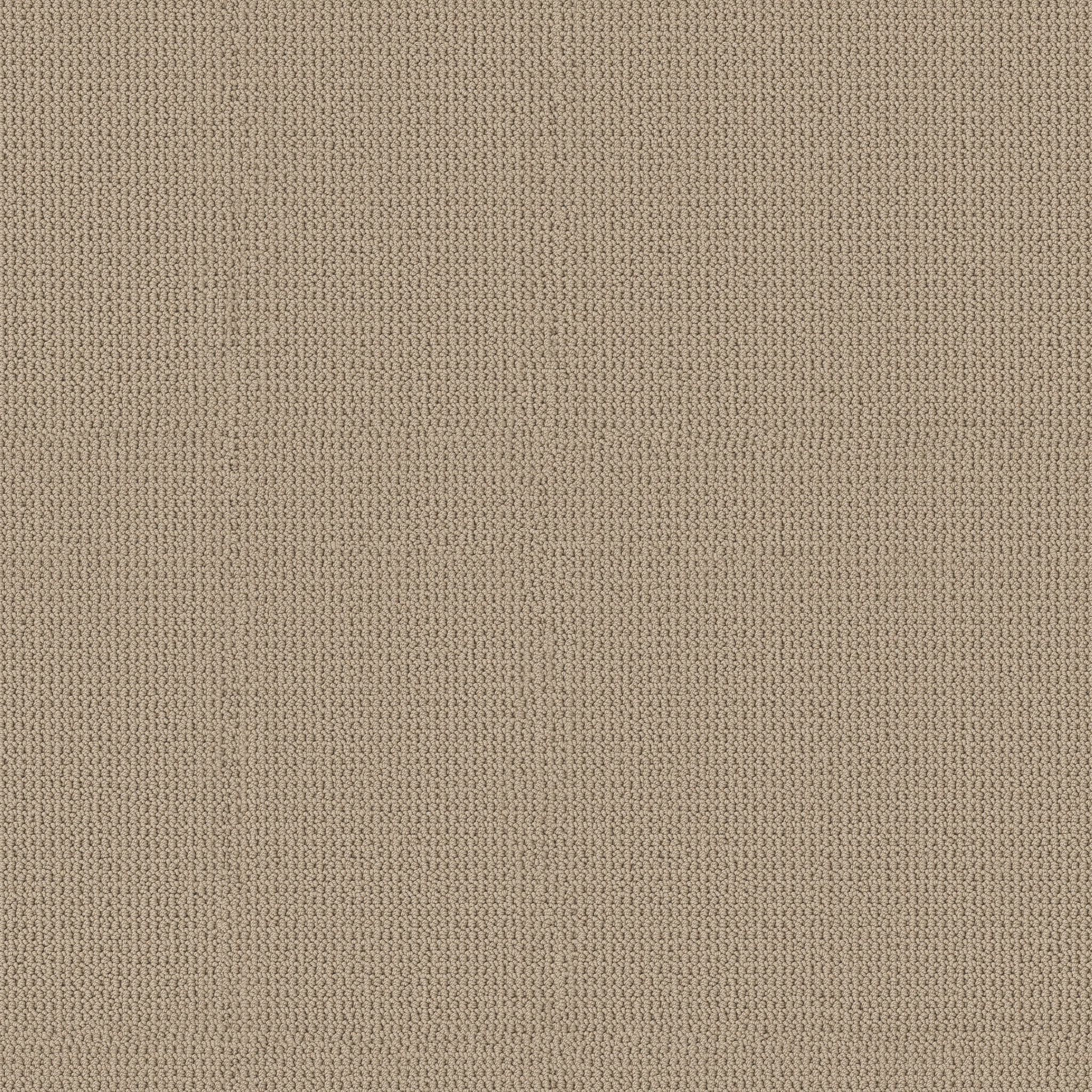 ARDEN PARK NUTSHELL MAIN