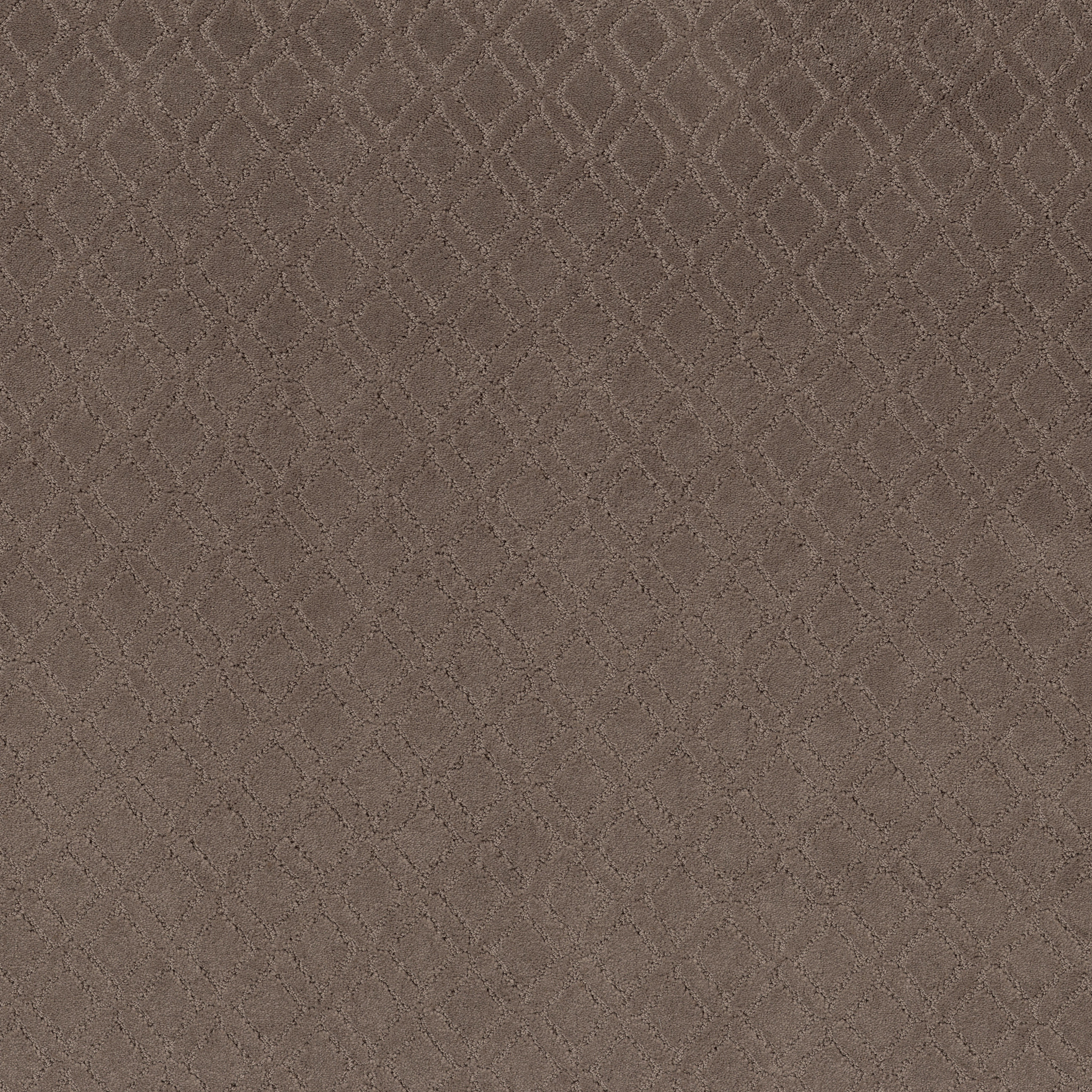 MUSE CHANTRELLE MAIN