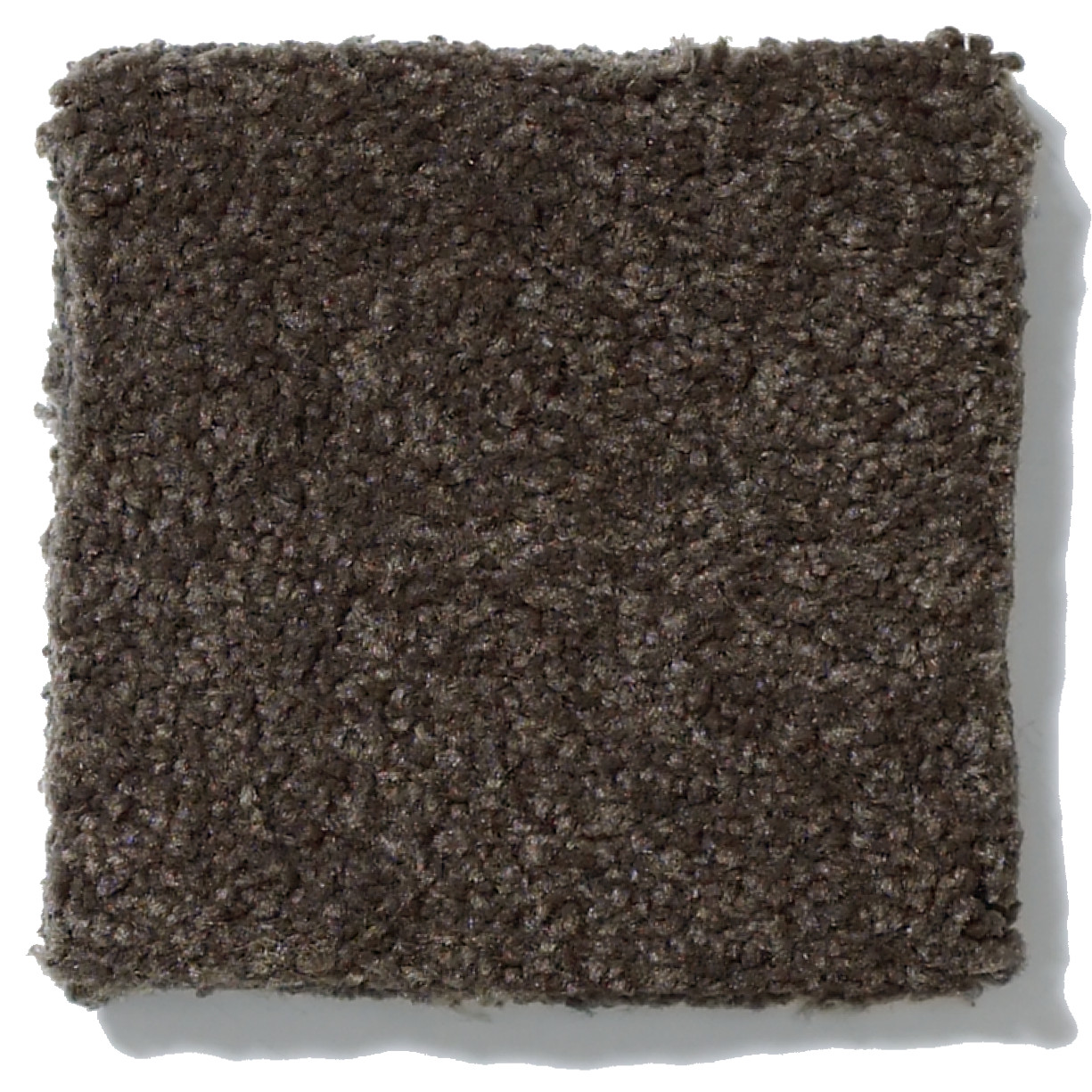 SHINGLE CREEK III 12' ARROWHEAD SWATCH