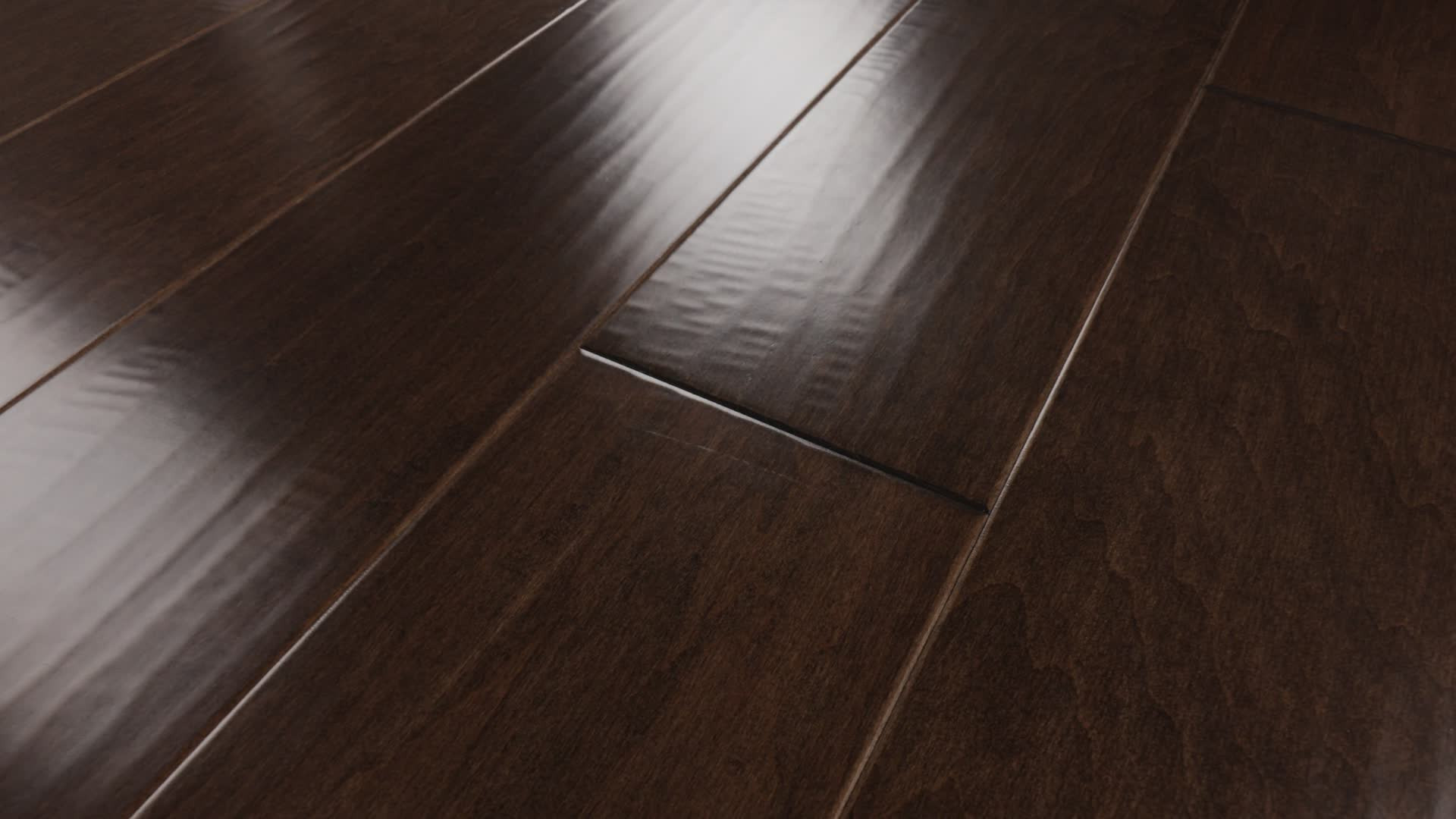 MENDOCINO BISON 360PROD