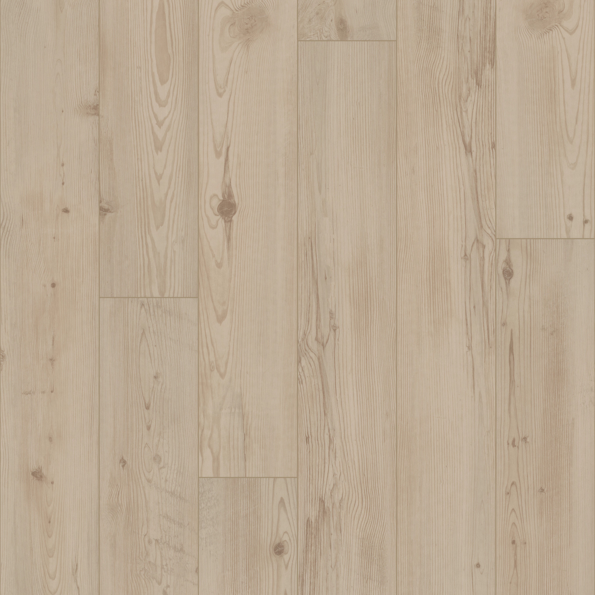 ALLEGIANCE + ACC GALLERIA PINE MAIN