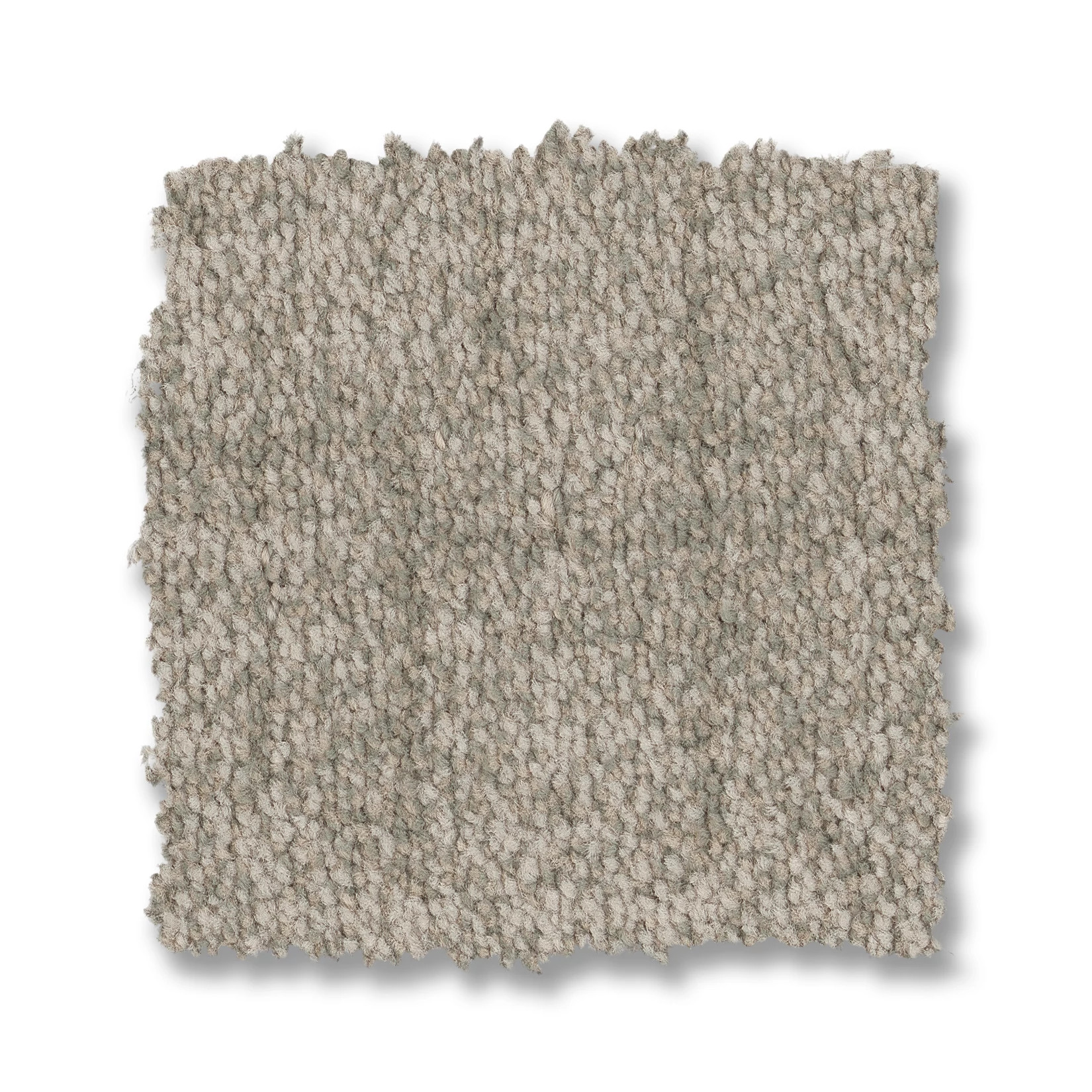 SILHOUETTE SAGEBRUSH SWATCH