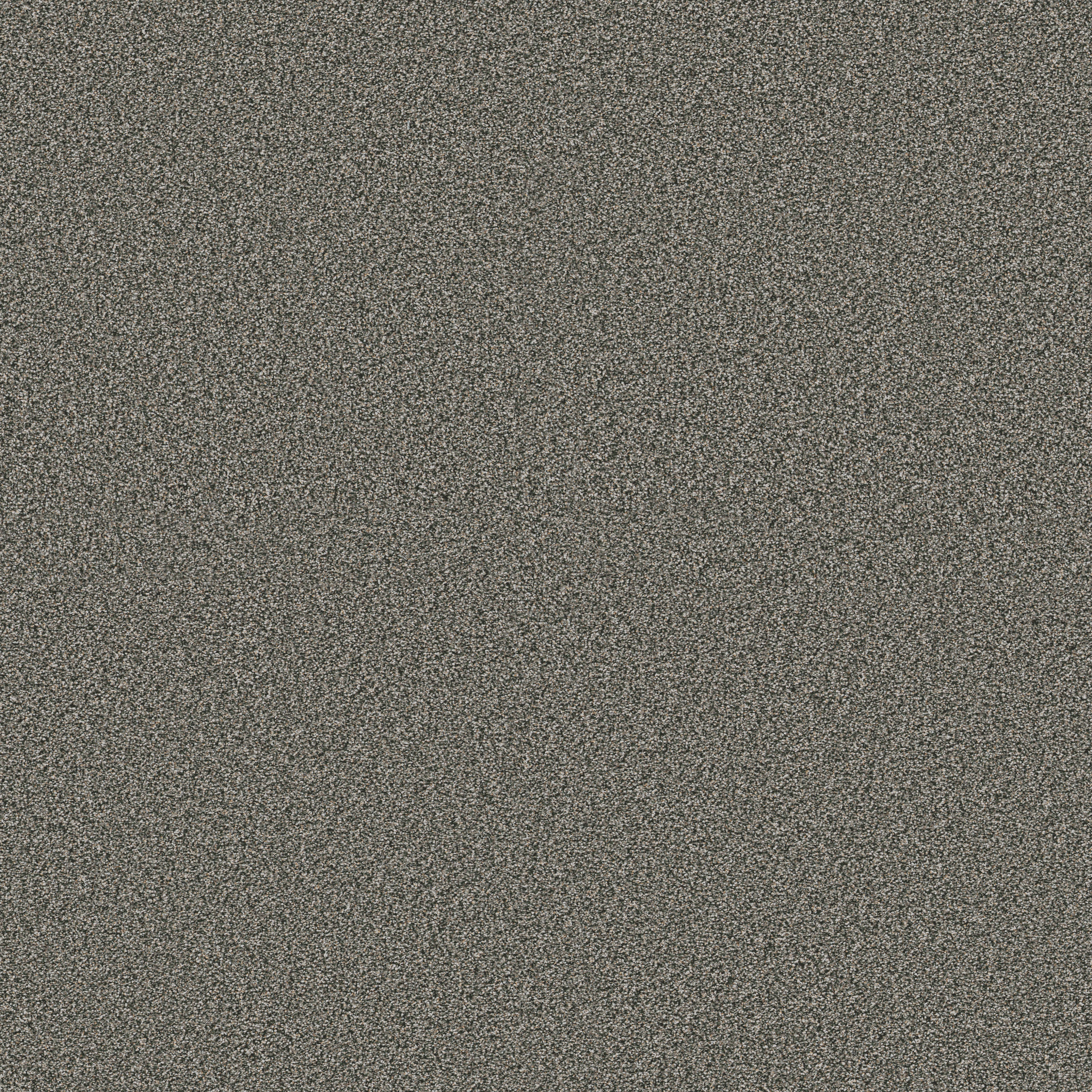 TIMELESS TONE EVERGREEN MAIN