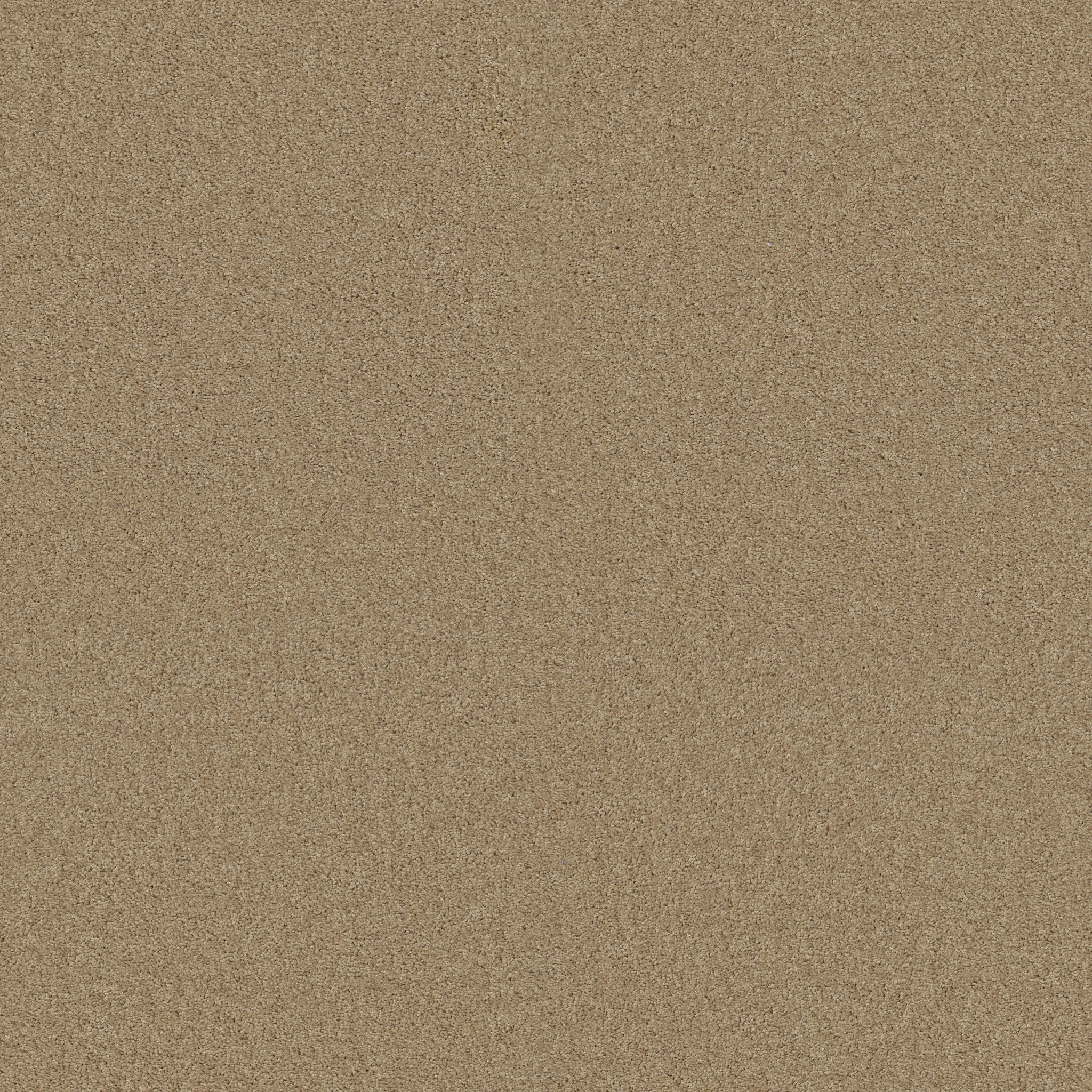 MY CHOICE I TAFFETA MAIN