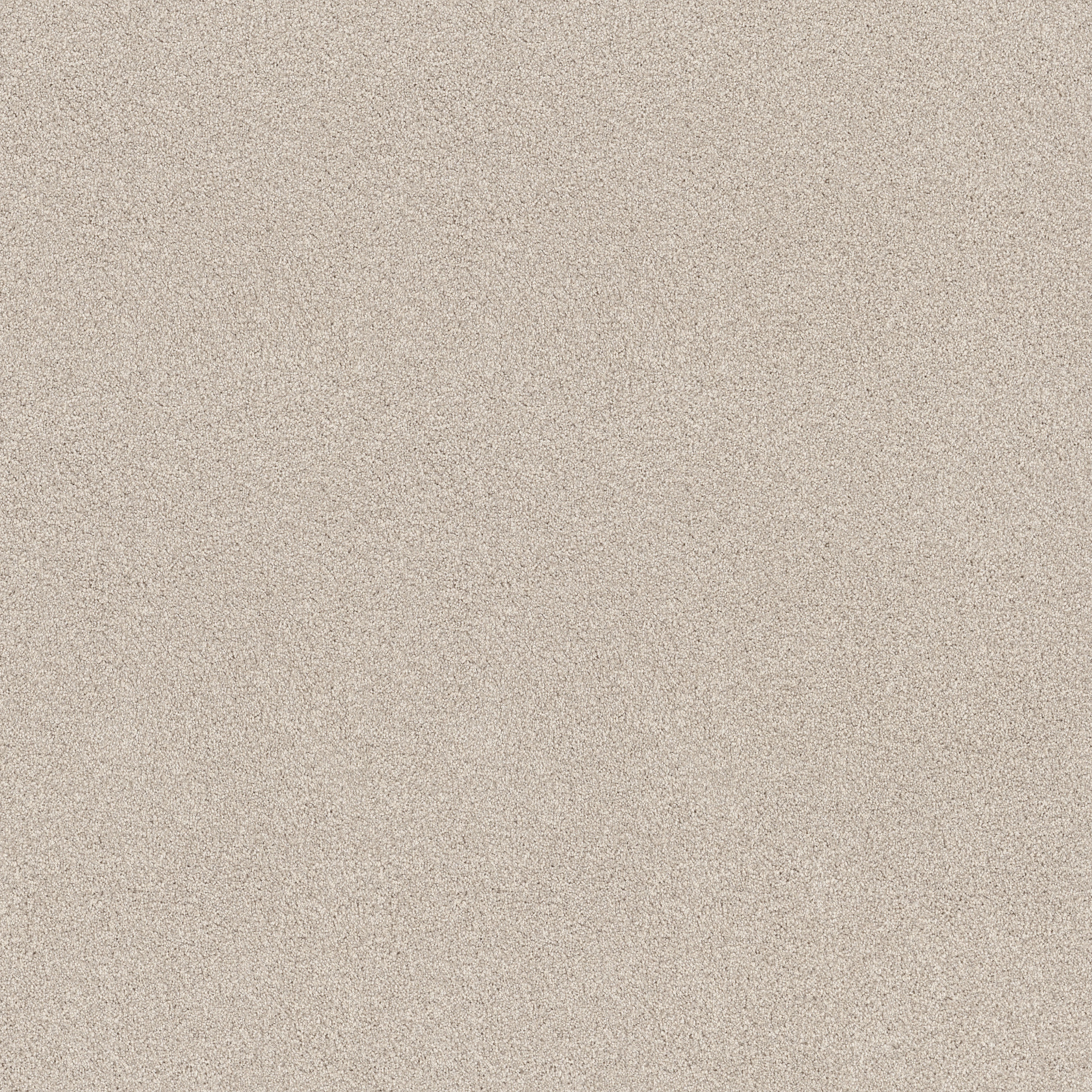 Find your comfort I - Tonal CHAMPAGNE TOAST MAIN