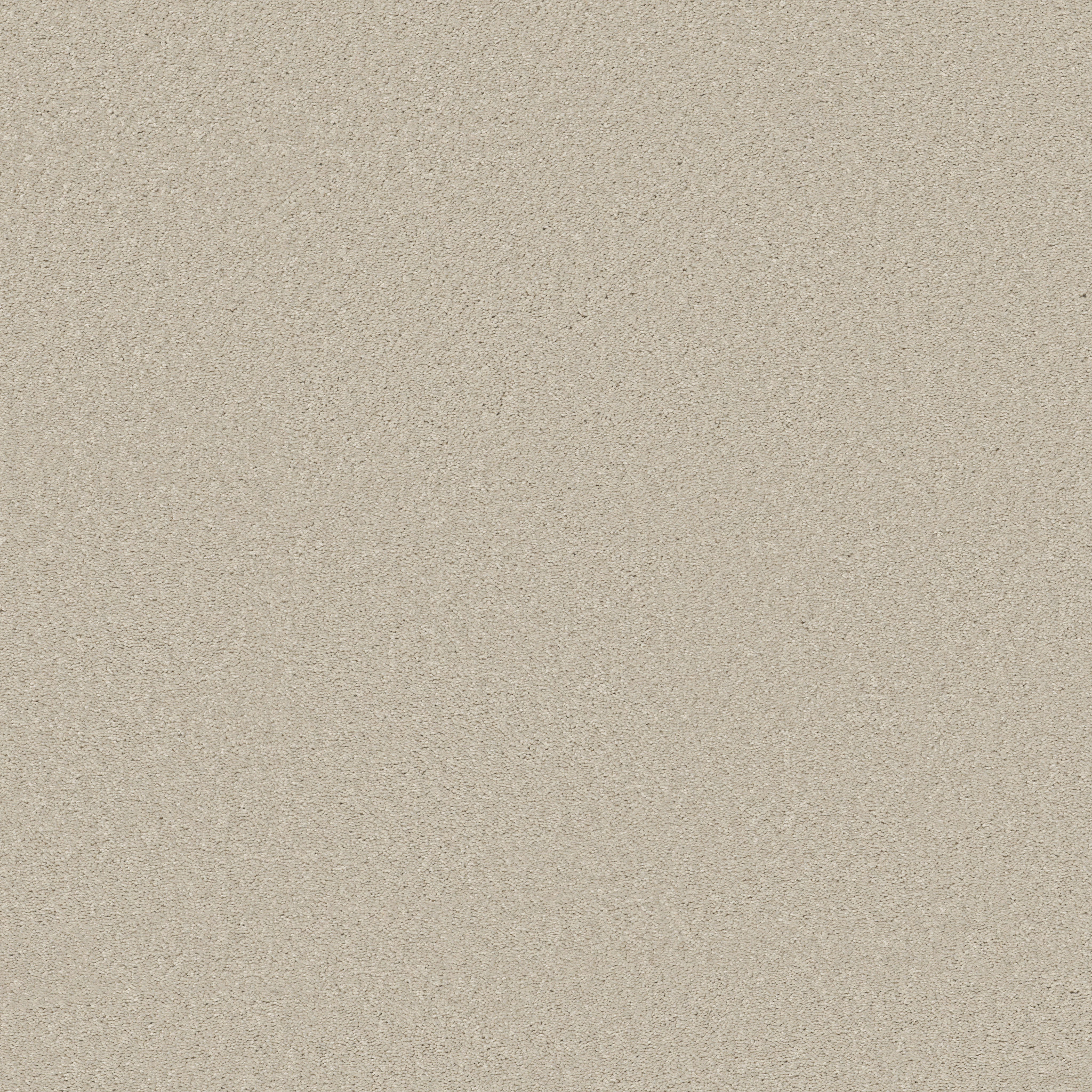 WELL MADE CREAMY MAIN