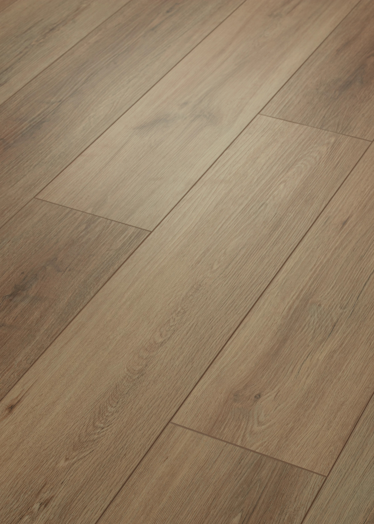 PALADIN PLUS WILD DUNES ANGLED