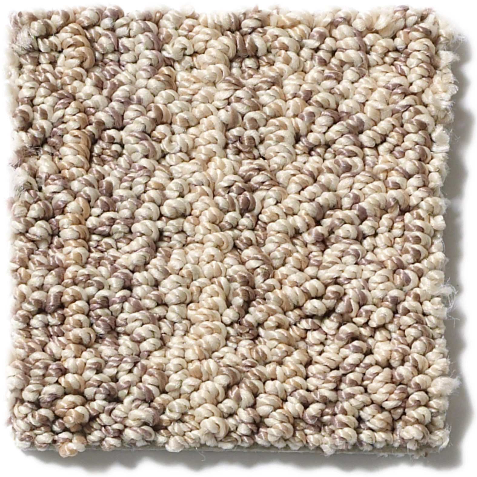 SUNDANCE WILD OATS SWATCH