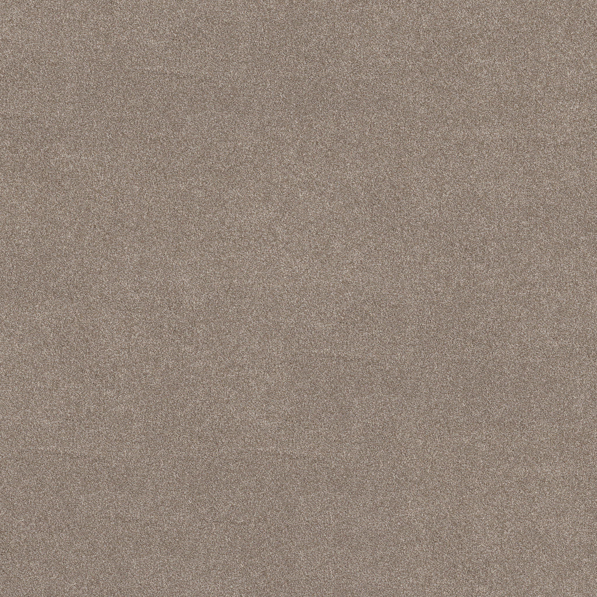 VIVID TOUCH II MOCHA MAIN