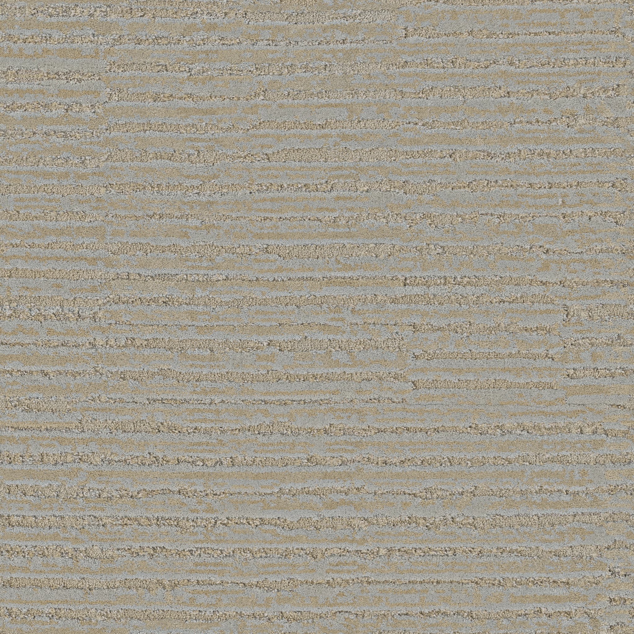 ZION COASTAL DREAM MAIN