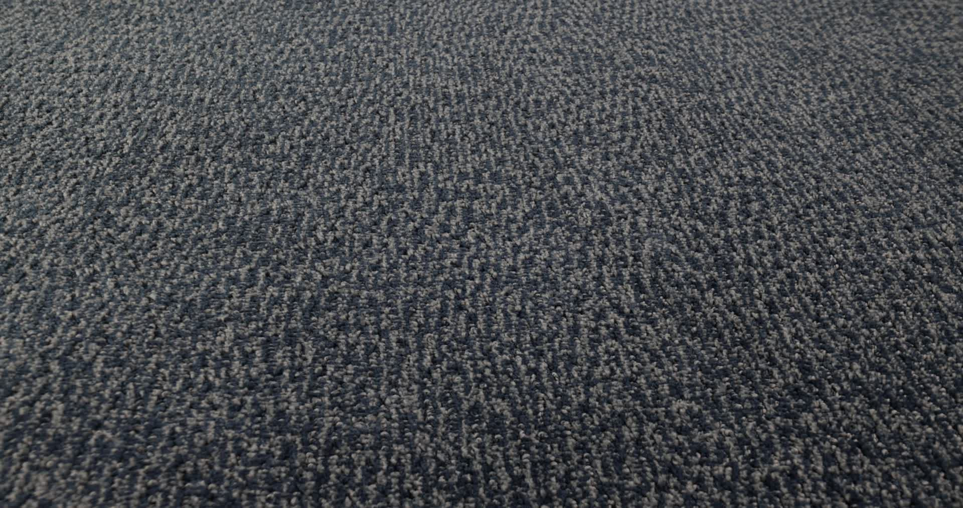 FUR-EVER HALE NAVY 360PROD