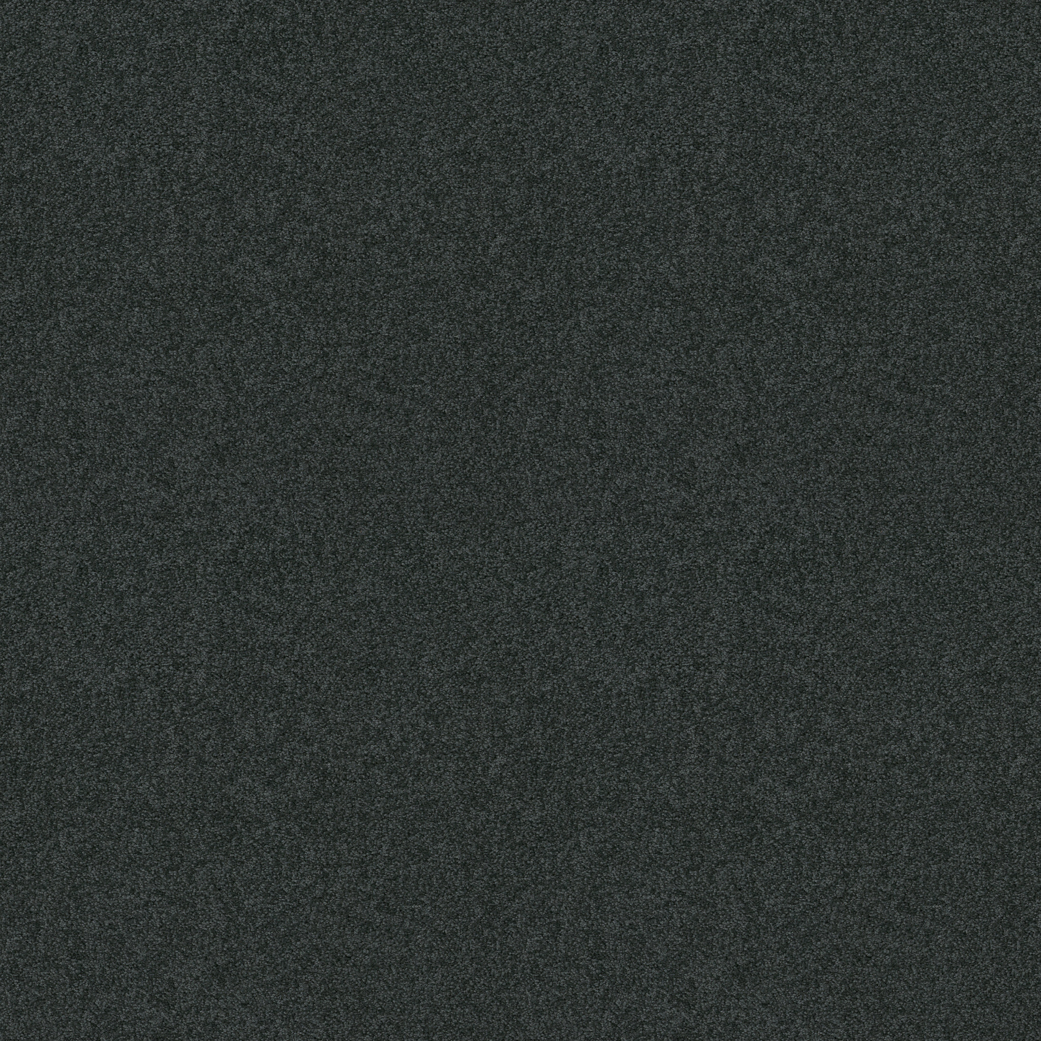 MY CHOICE III INDIGO MAIN