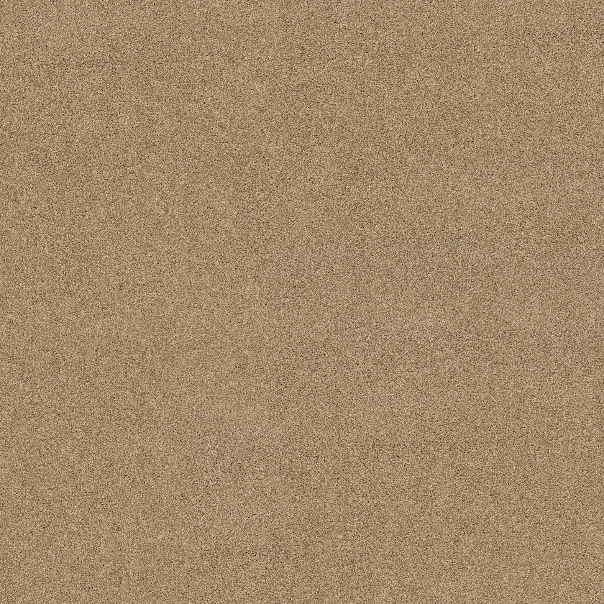 PARK HAVEN FARRO MAIN