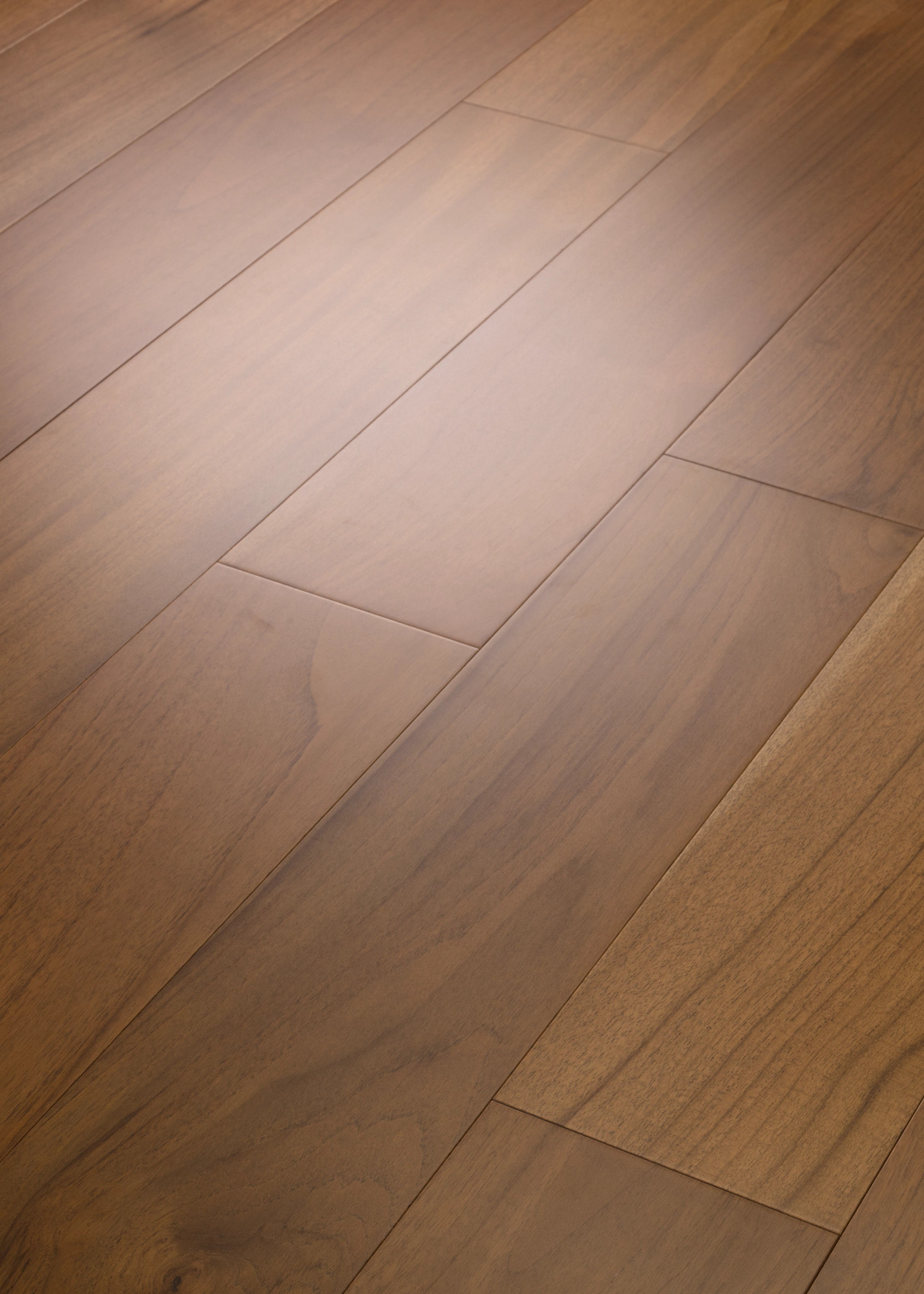 Search Results | Shaw Floors