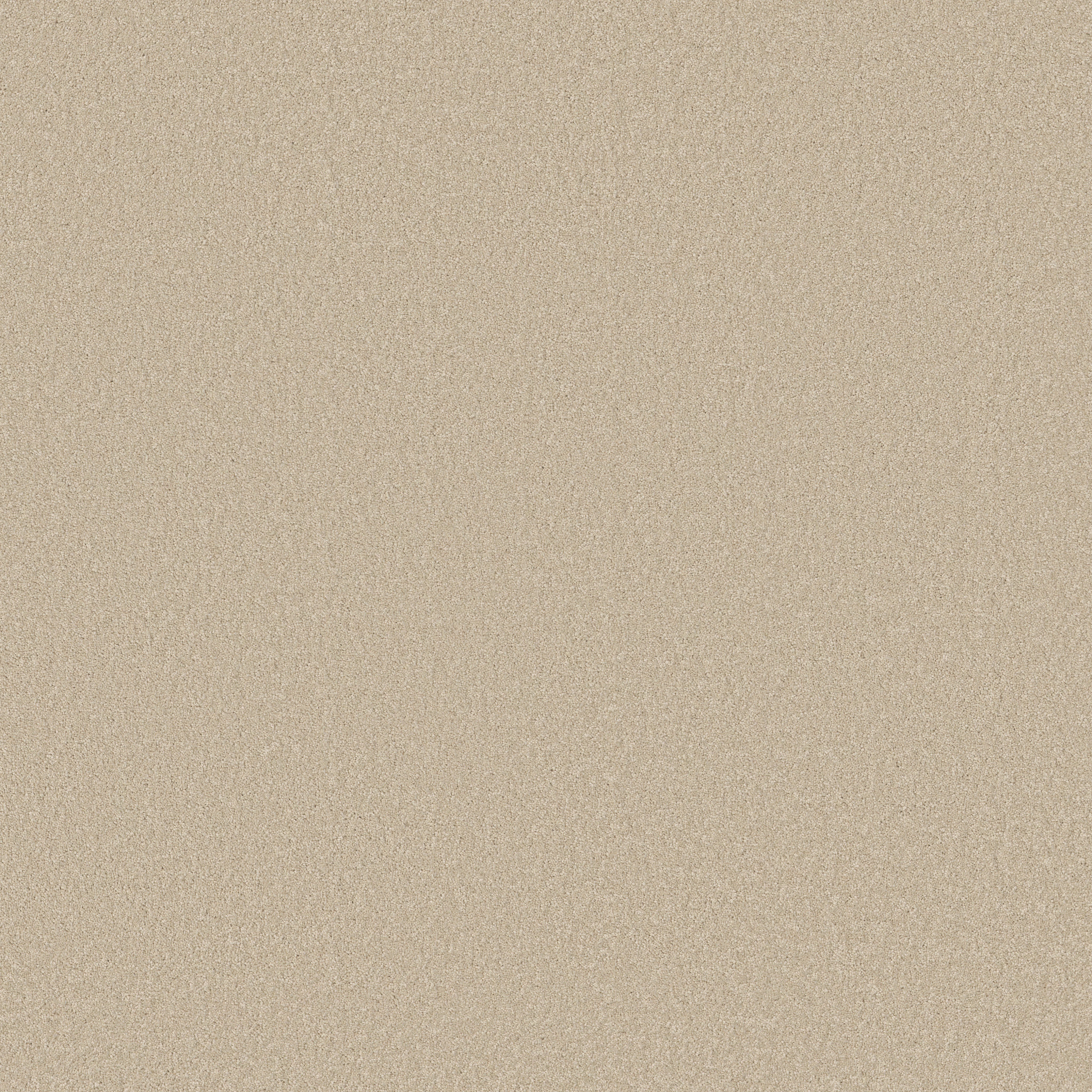 MAGIC AT LAST III 12' SEA SALT MAIN