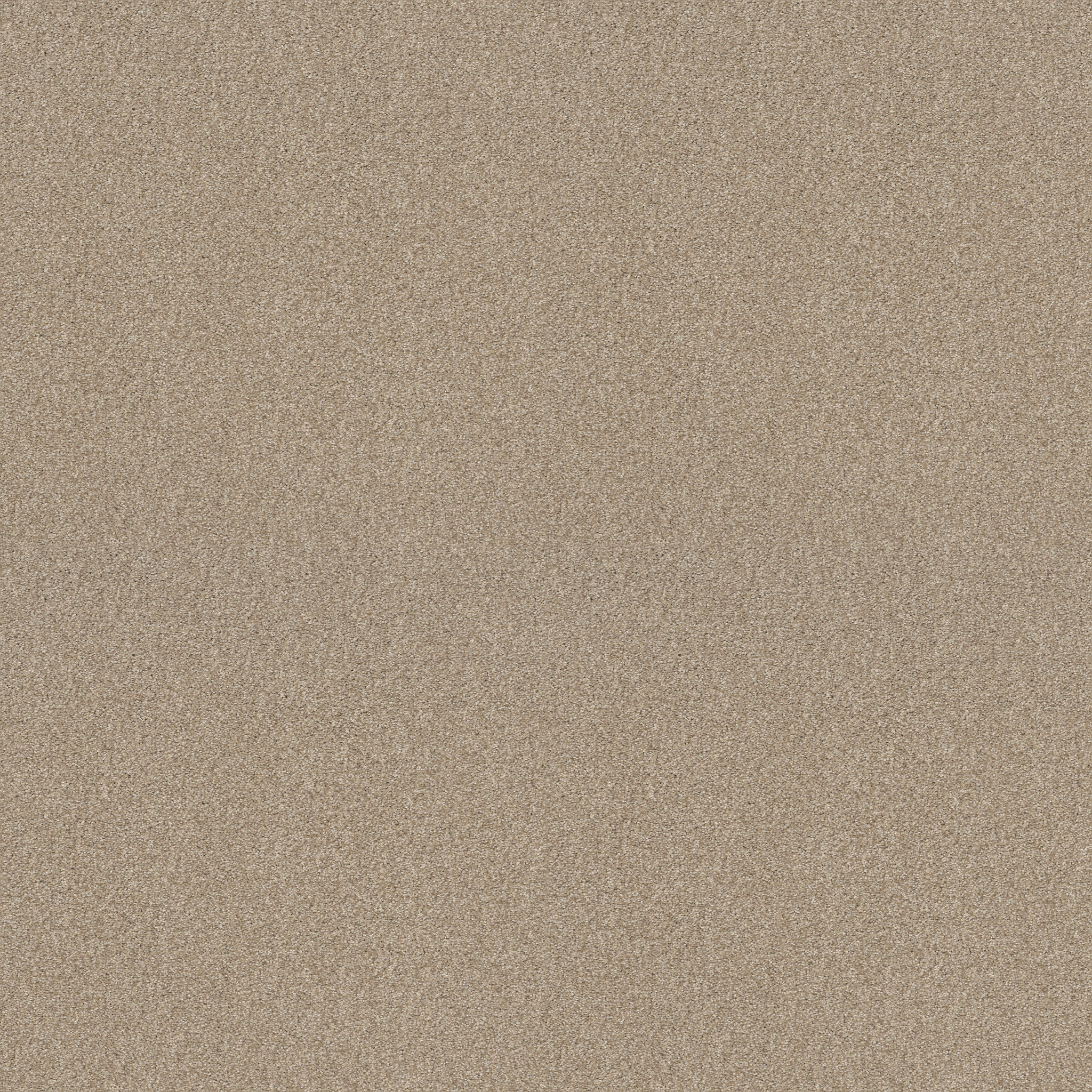 Find your comfort I - Tonal DINNER WITH FRI MAIN