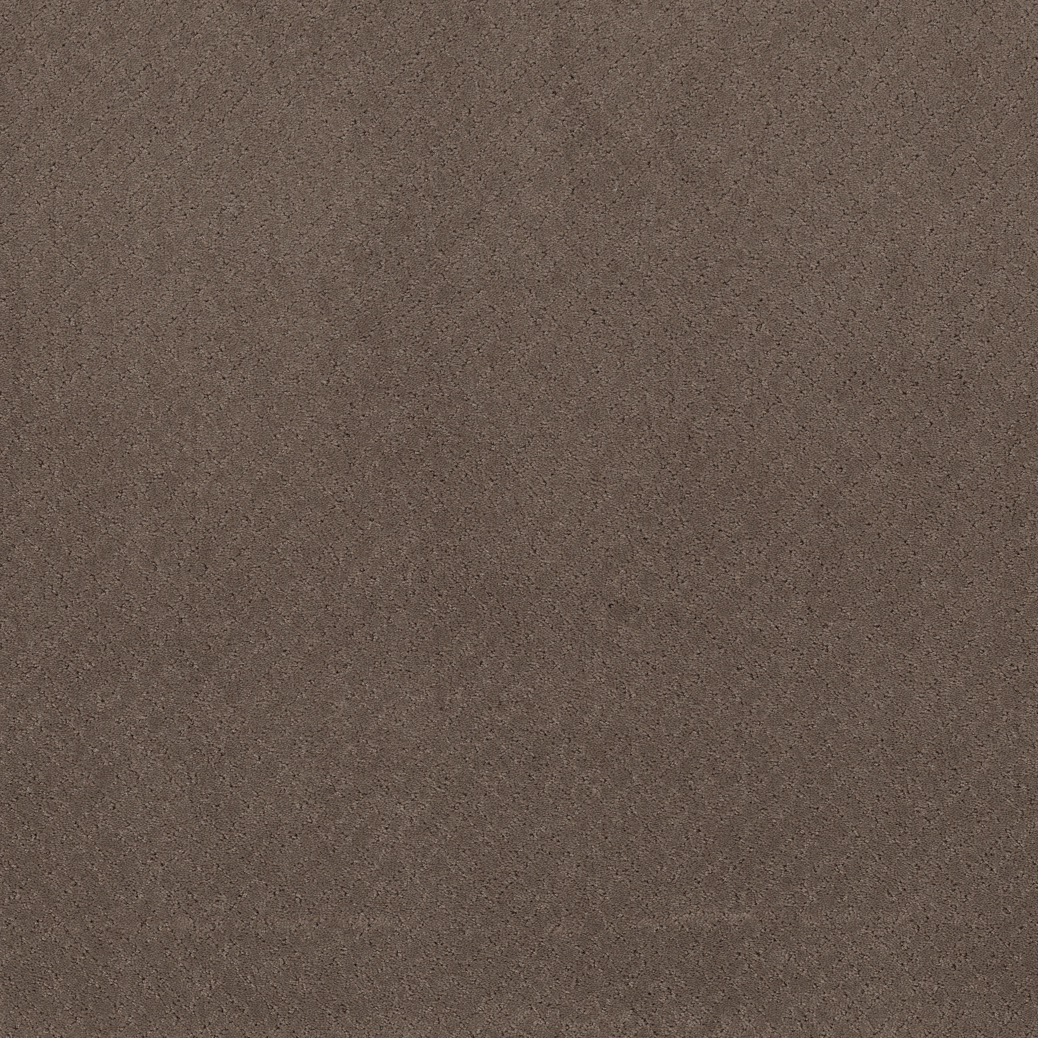 MOSAIC CHANTRELLE MAIN