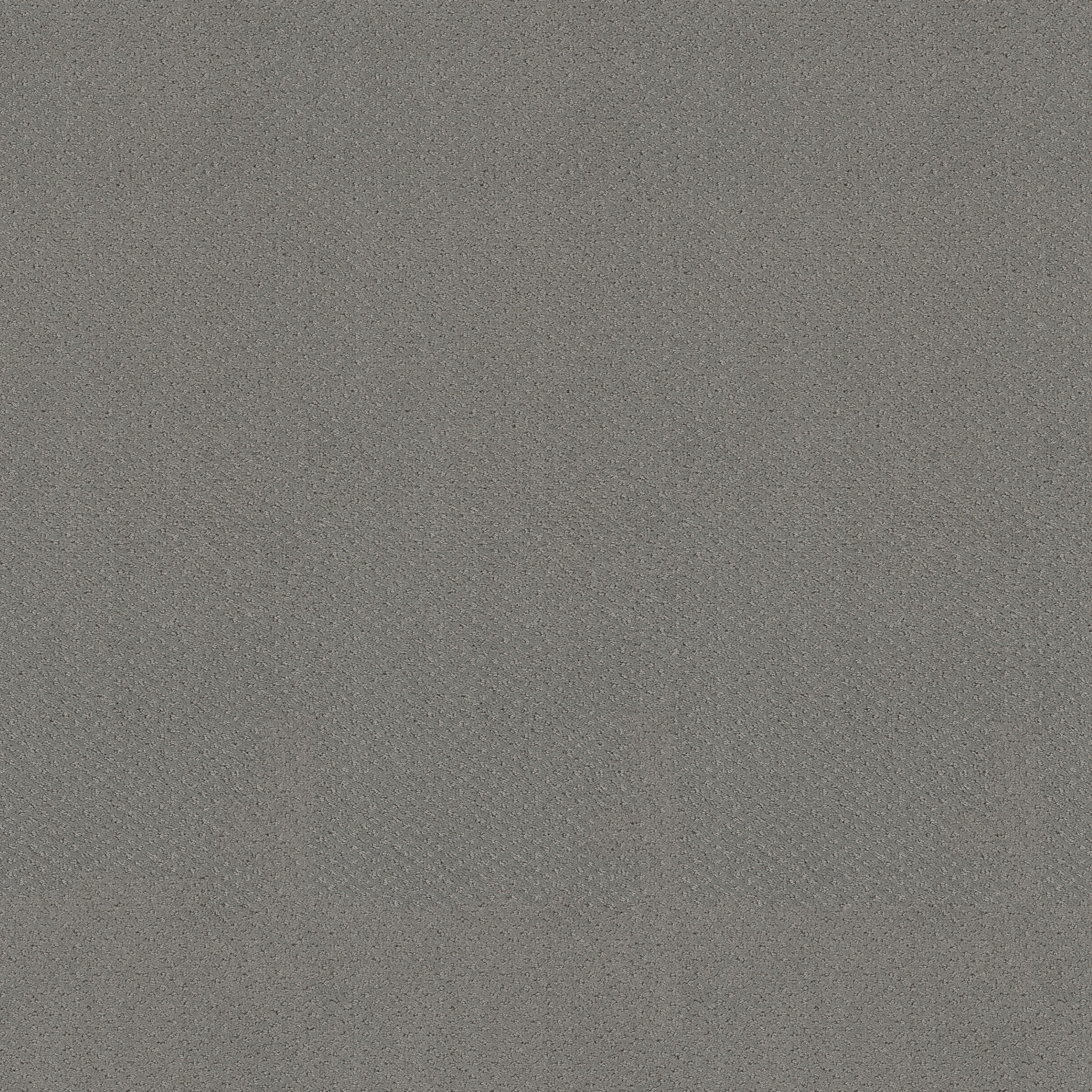 MAINSTAY GREY FOX MAIN