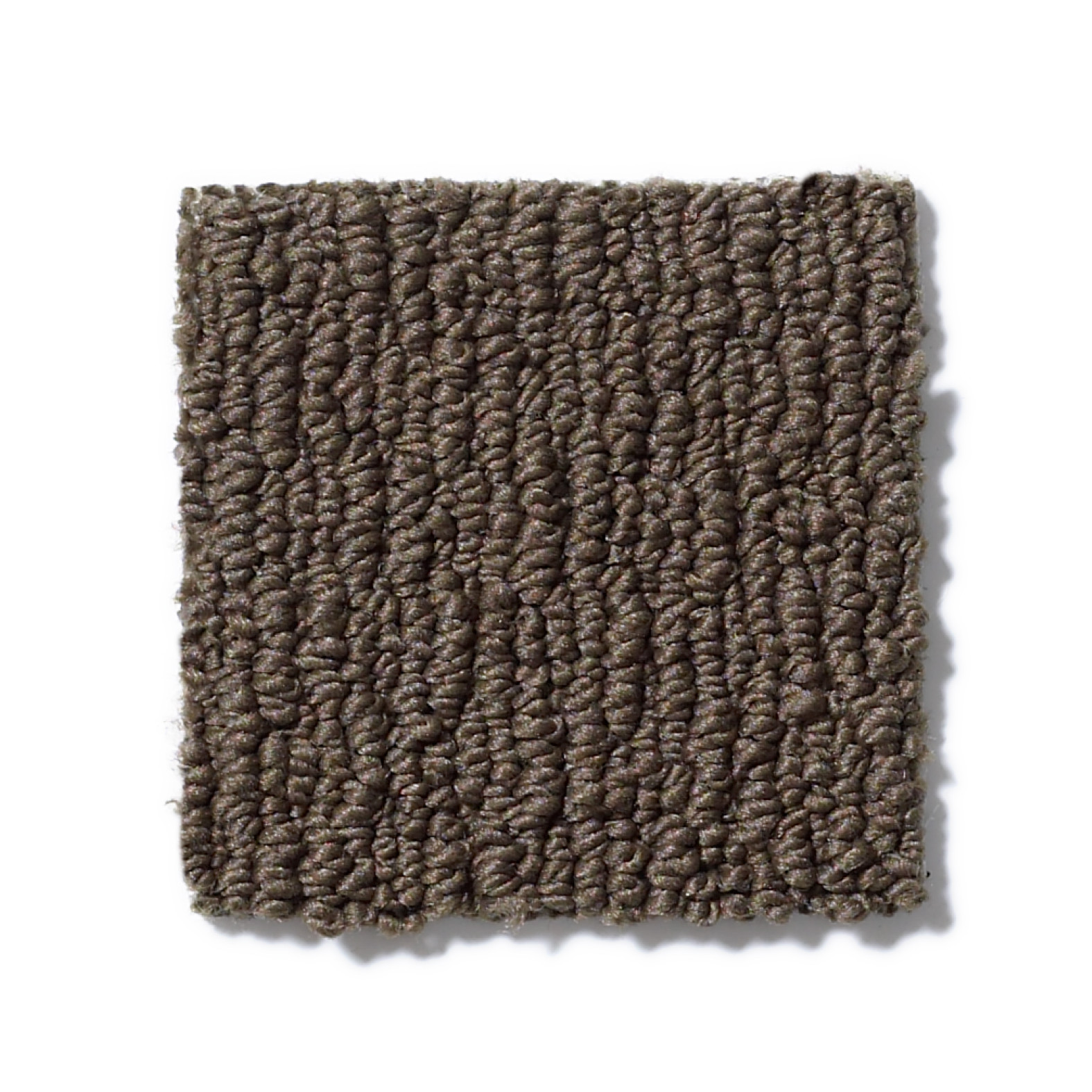 APPIAN WAY HIKING TRAIL SWATCH