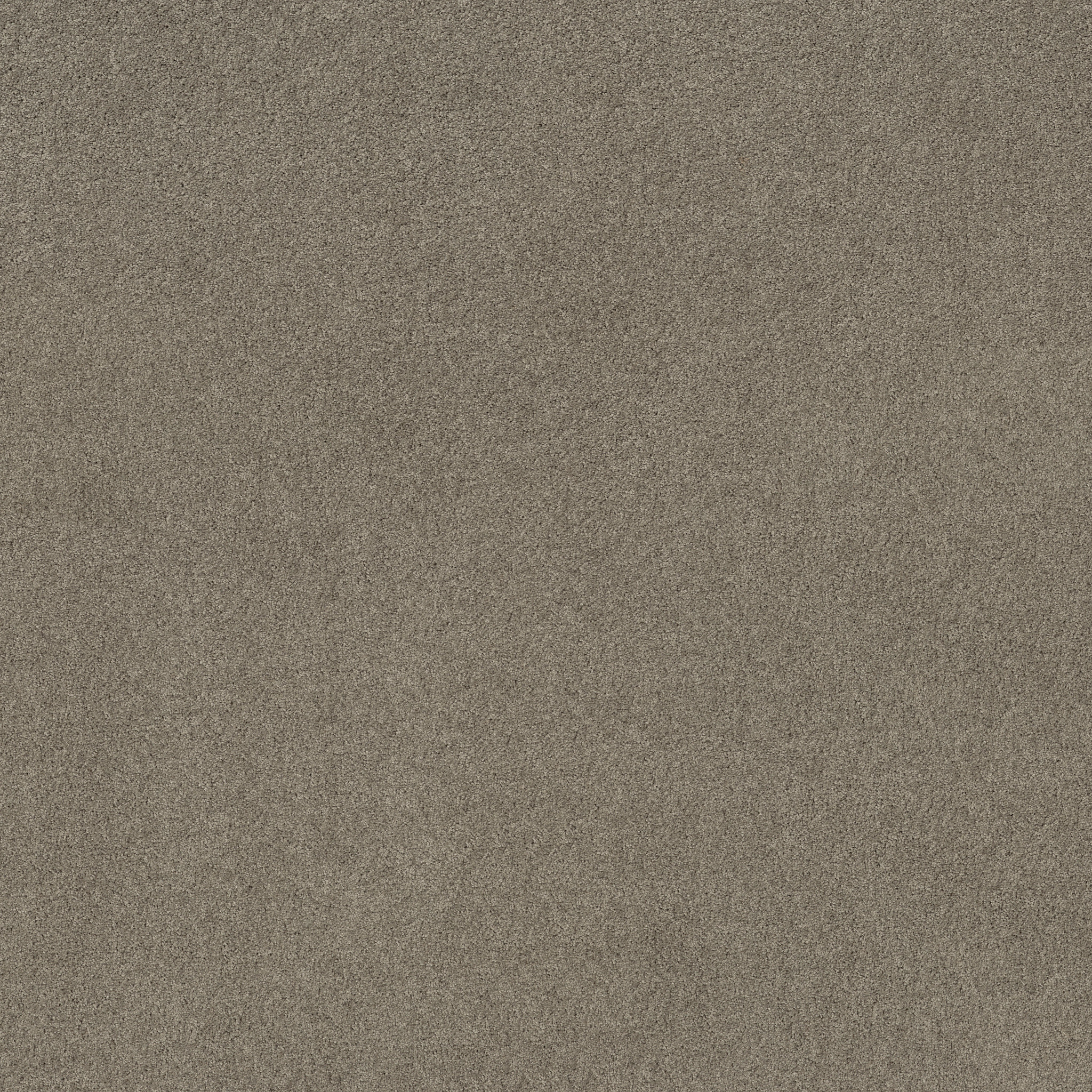 MY CHOICE I ROCKY COAST MAIN