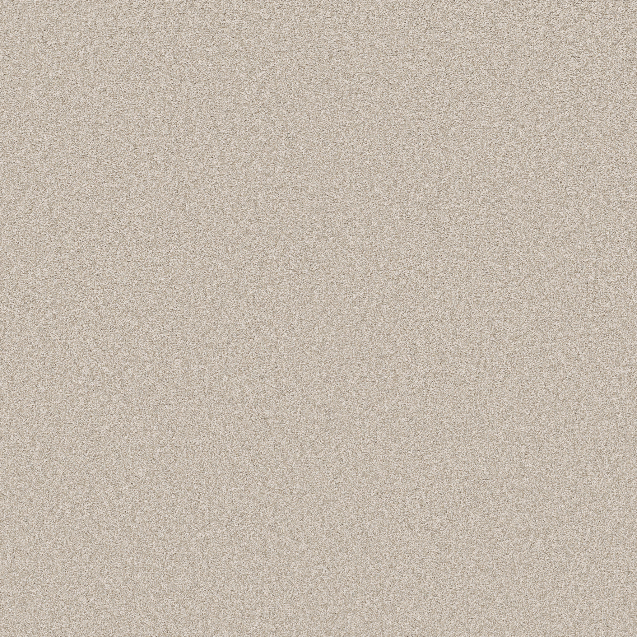 AG True Delight I DELICATE WHITE MAIN