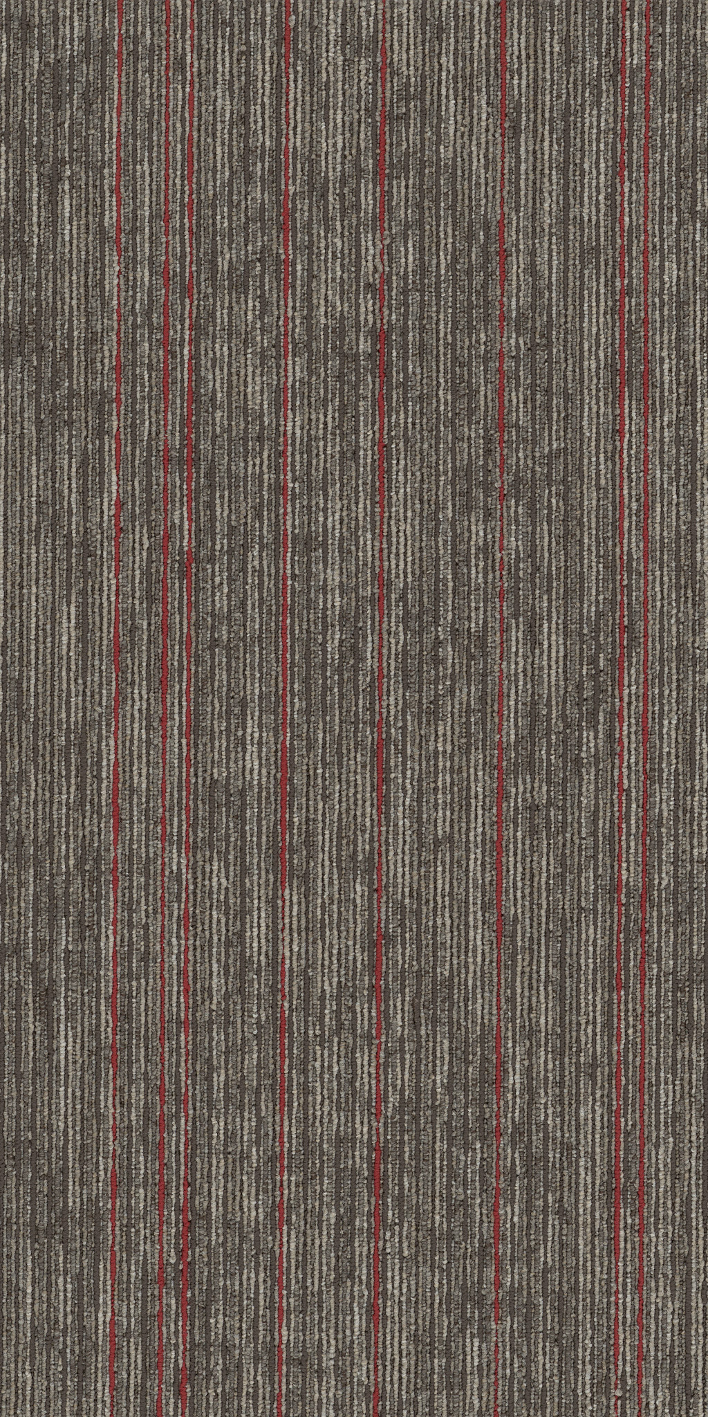 AIM-HIGH-54996-ELEVATE-00208-main-image