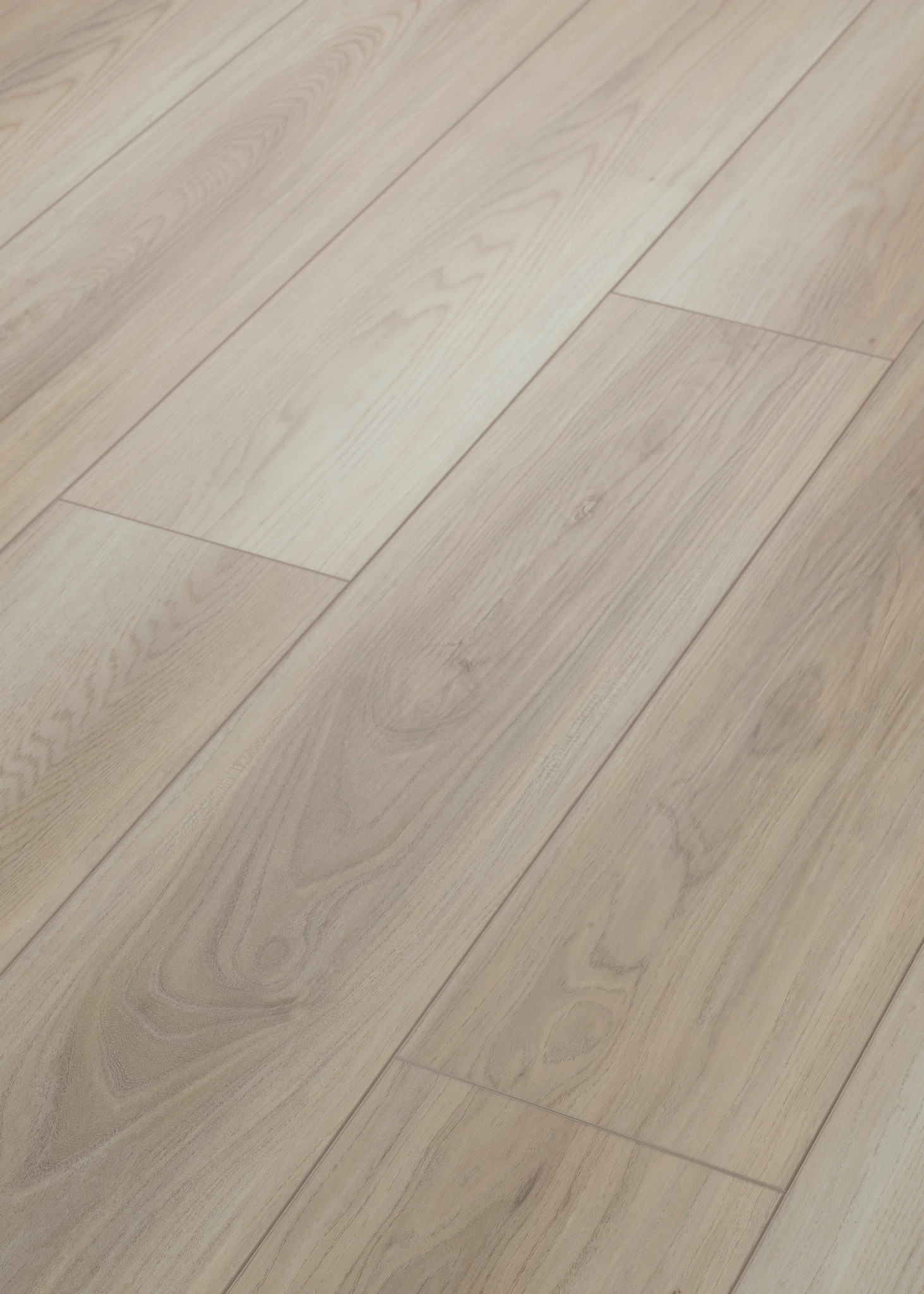 PALADIN PLUS LIGHTHOUSE ANGLED