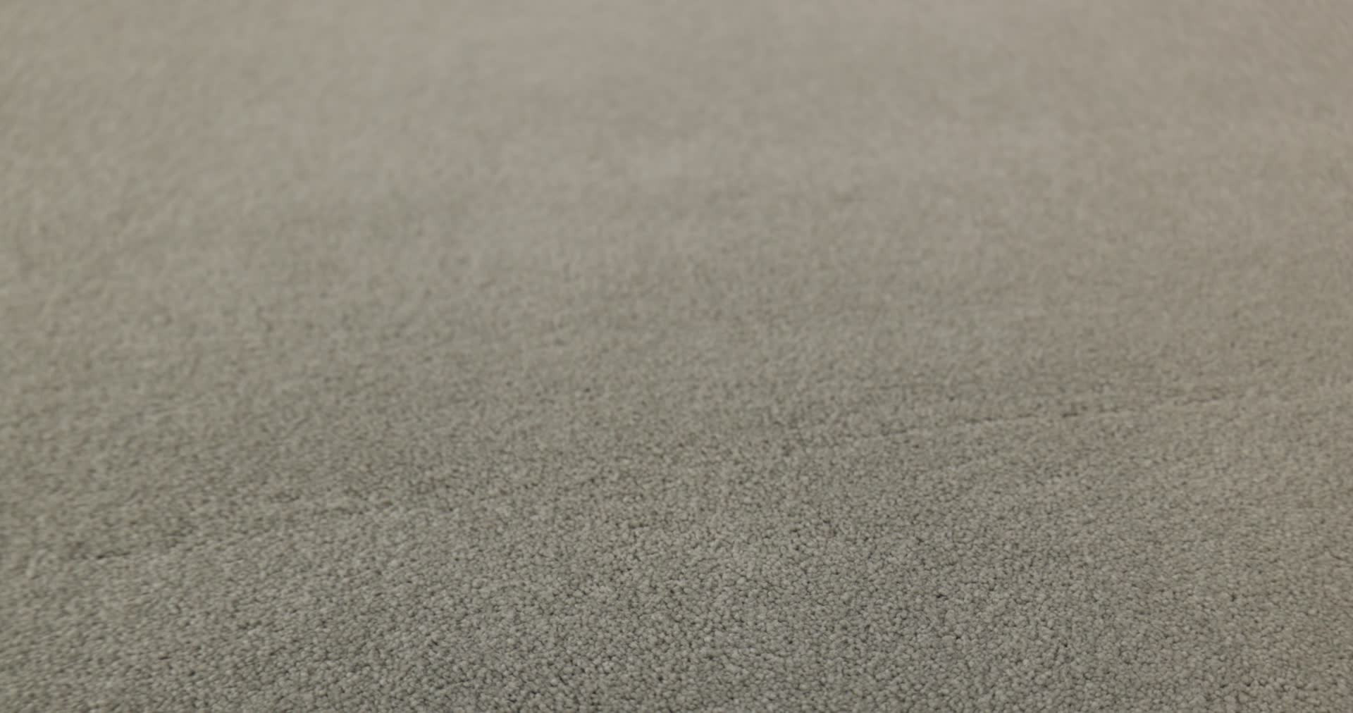 SHINGLE CREEK IV 15' SILVER CHARM 360PROD