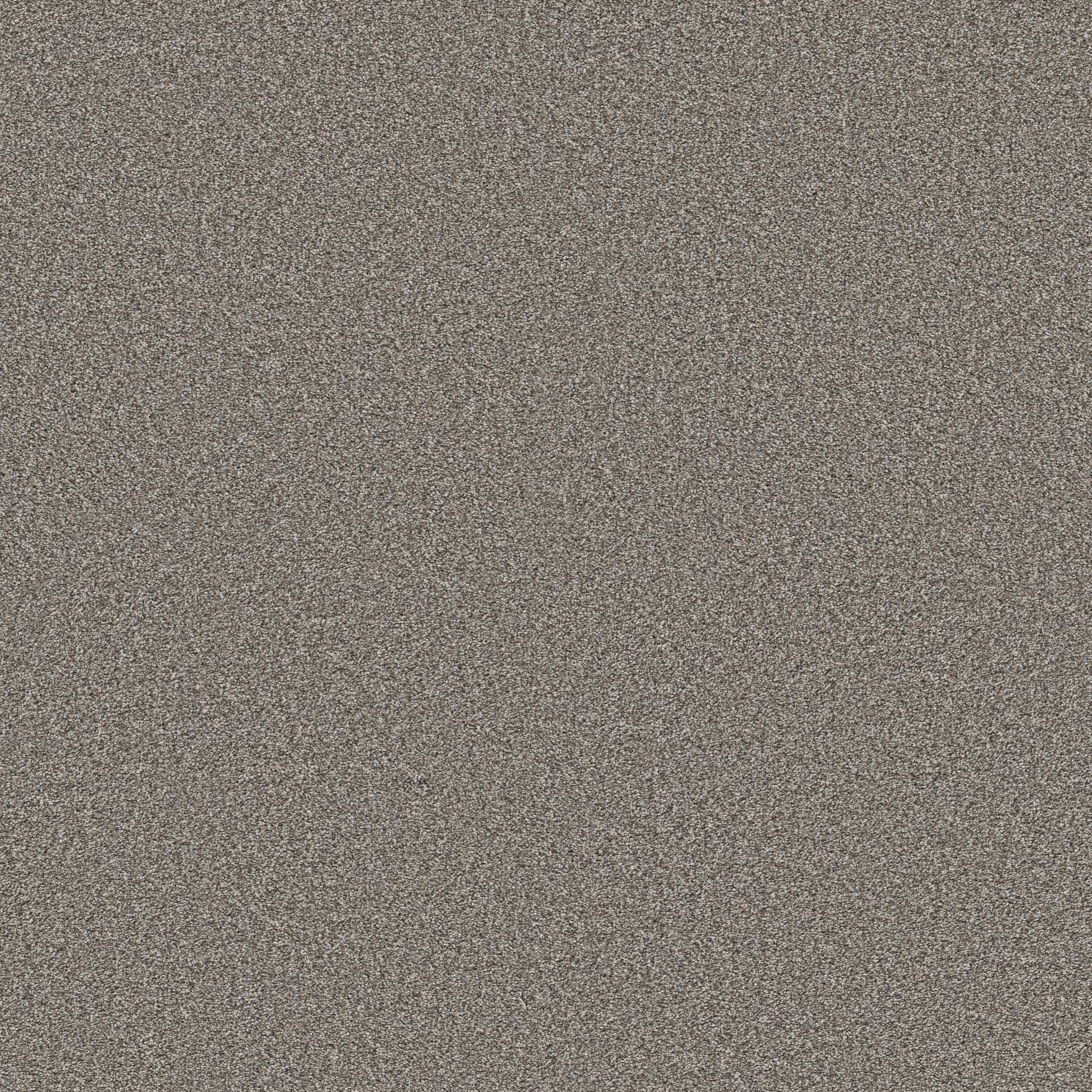 TIMELESS TONE BLUE NIGHT OWL MAIN