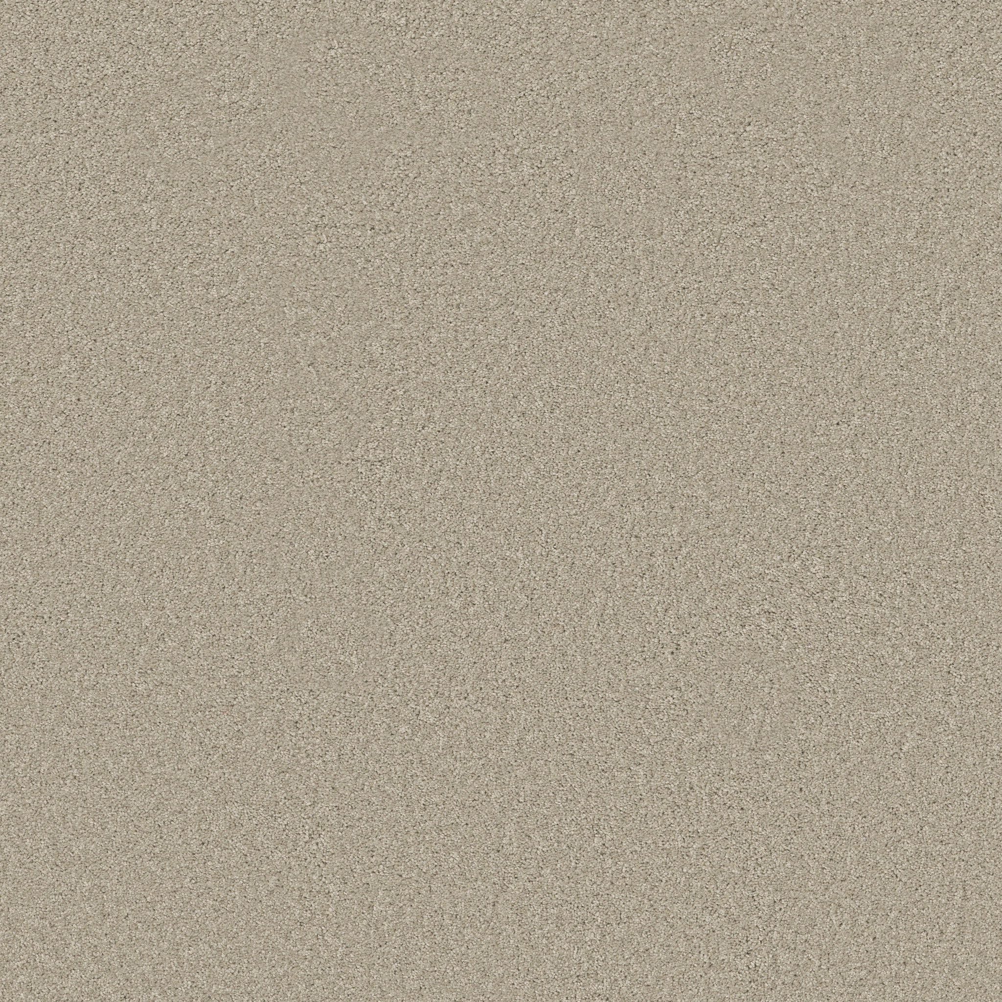 LAGUNA BEACH GREIGE MAIN