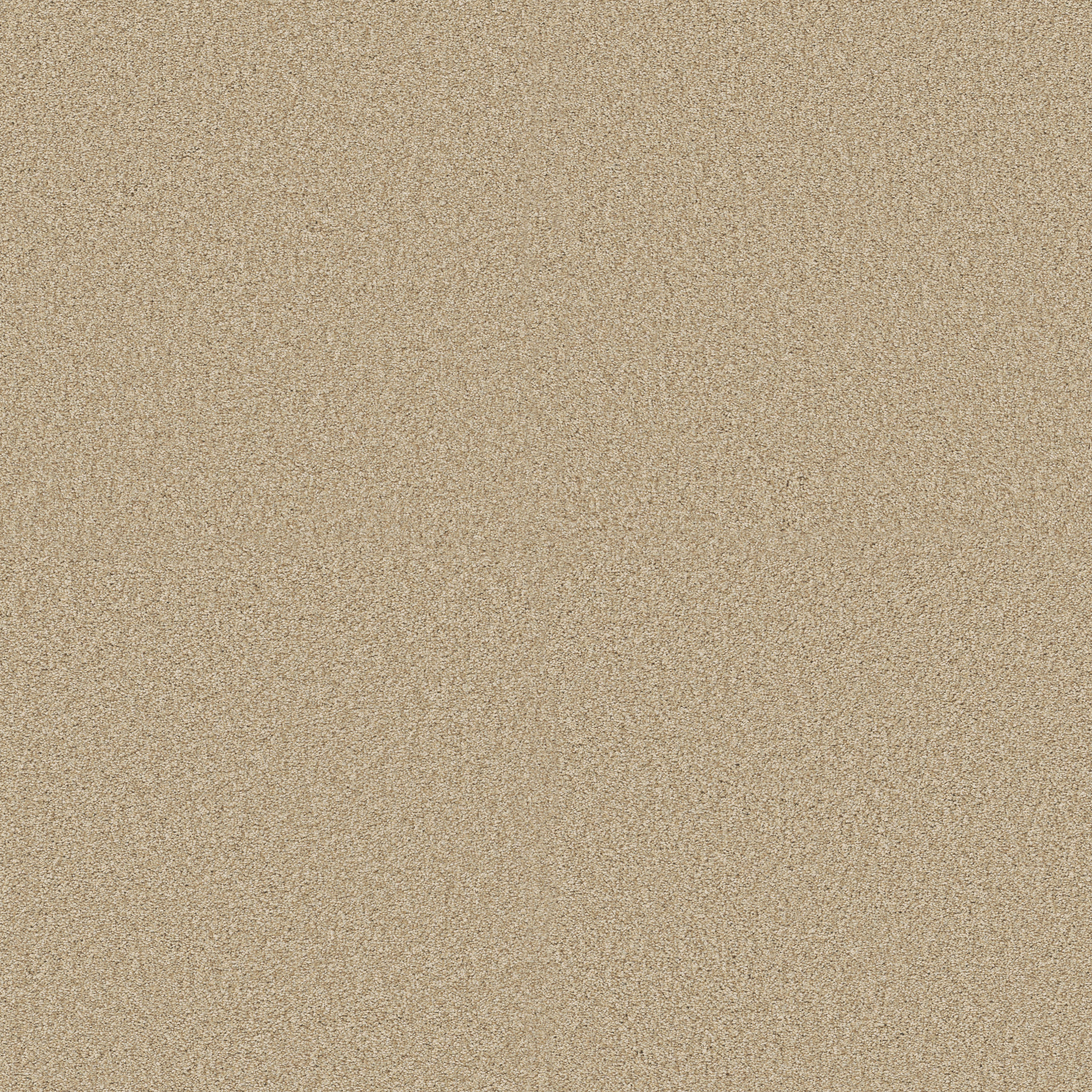 COMFORTING II SESAME SEED MAIN