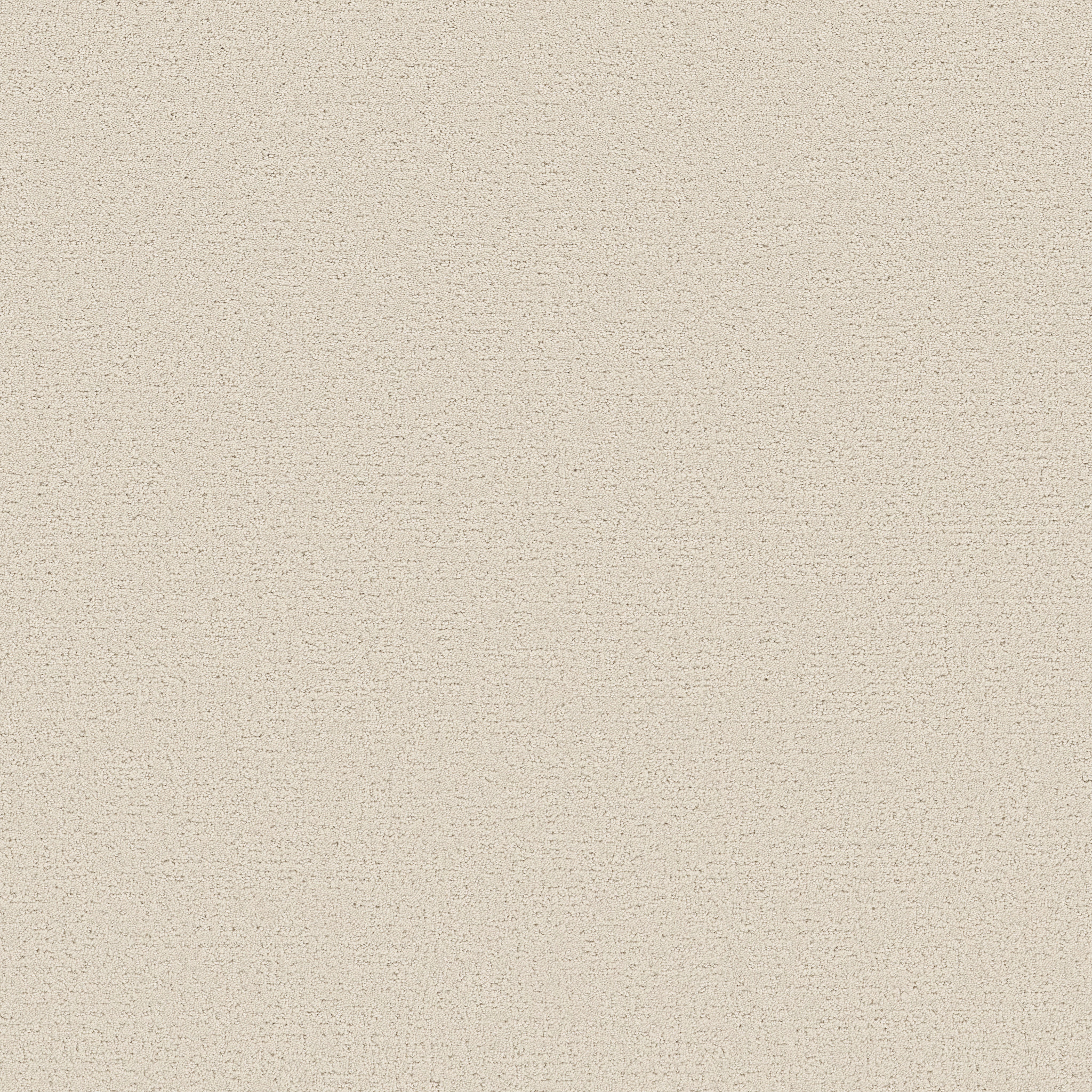 REFINED CANVAS CHAMPAGNE TOAST MAIN