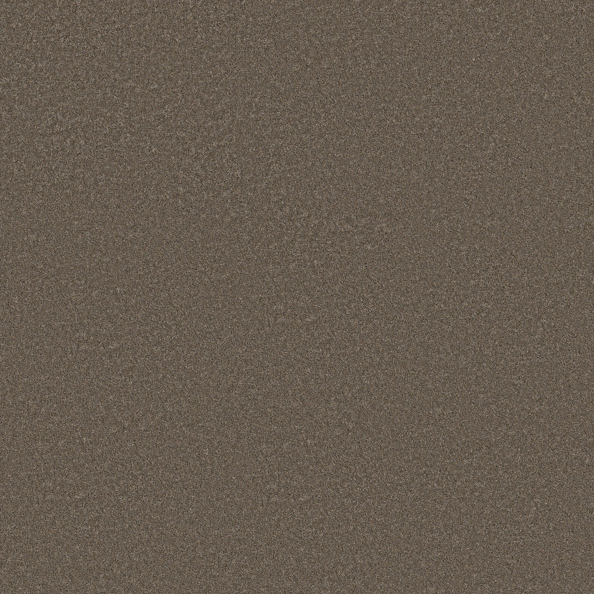 BLENDED TOUCH I TWEED MAIN