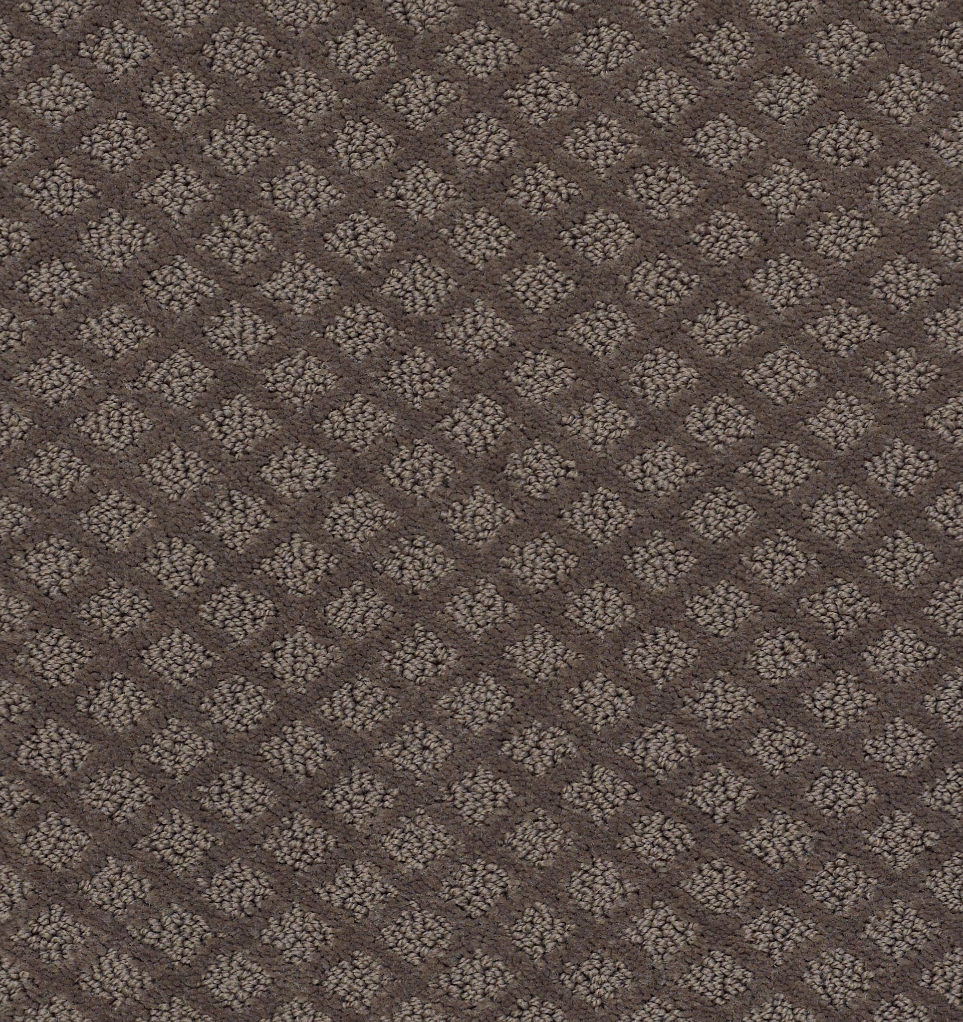 ENTWINED WITH YOU FRONT GATE MAIN