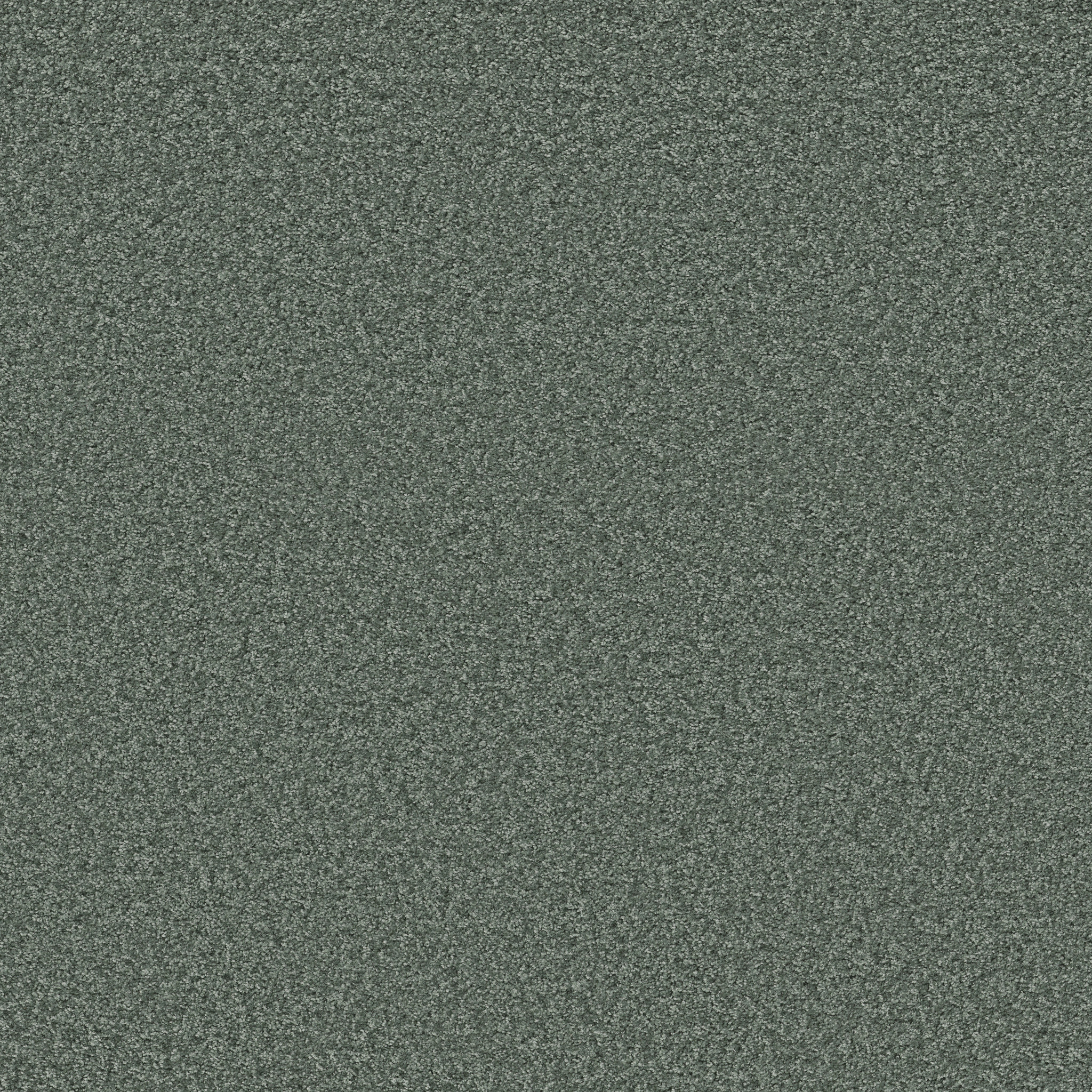 DAKOTA SPRINGS CARIBBEAN MAIN