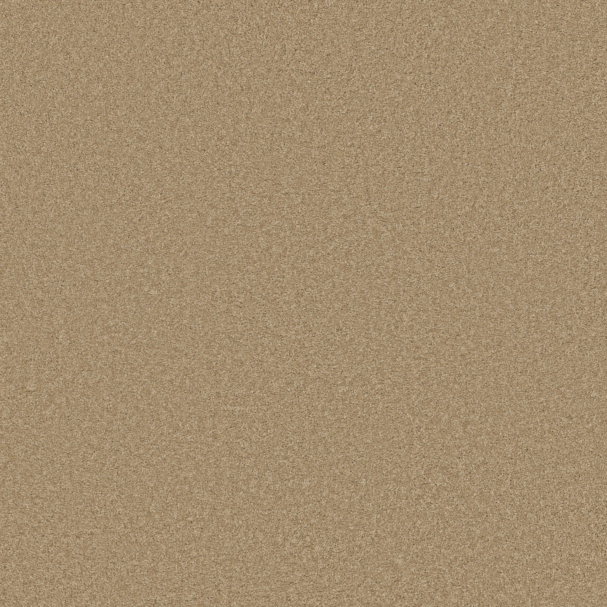 LUXURY BAY III TAFFETA MAIN