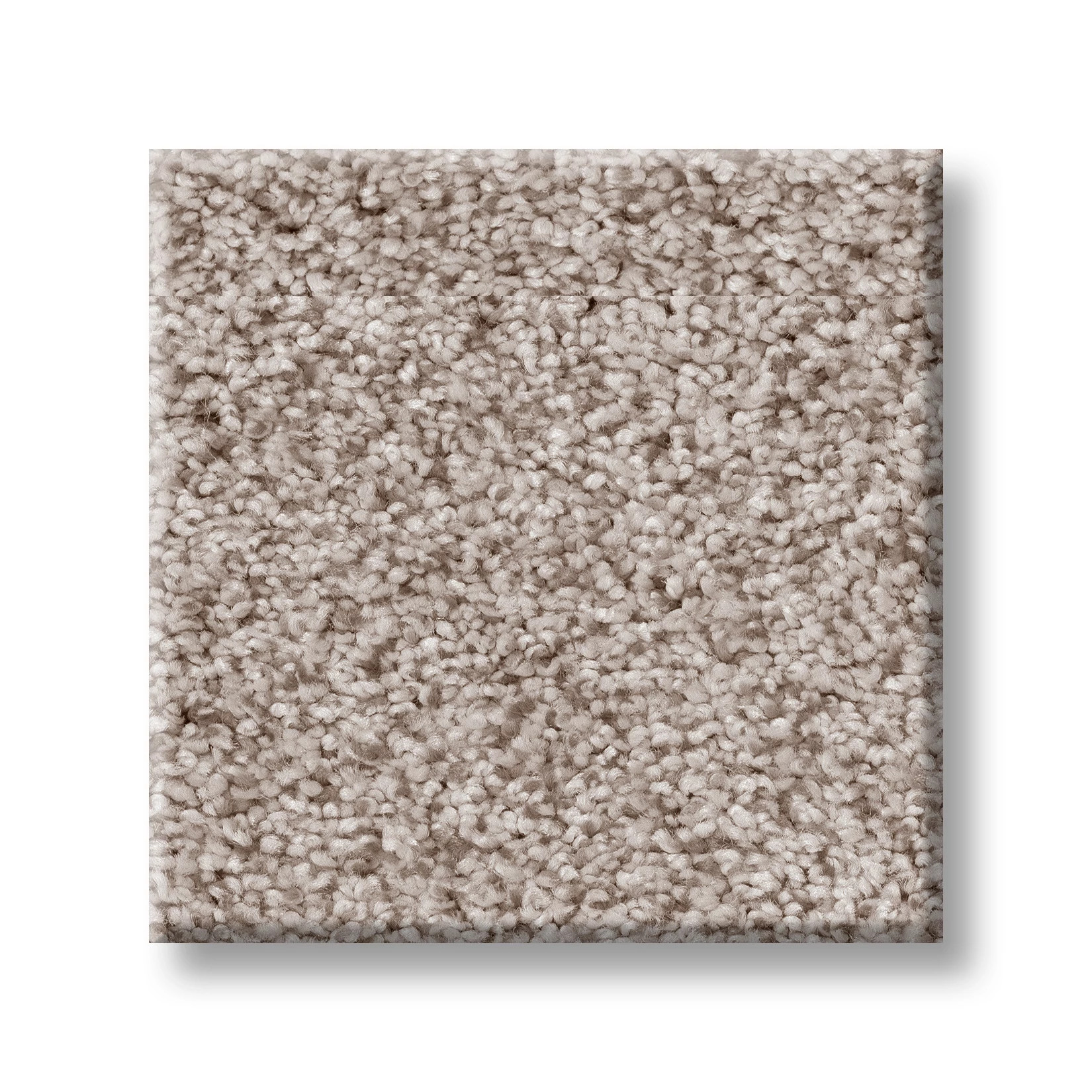 SUMPTUOUS II GRANITE DUST SWATCH