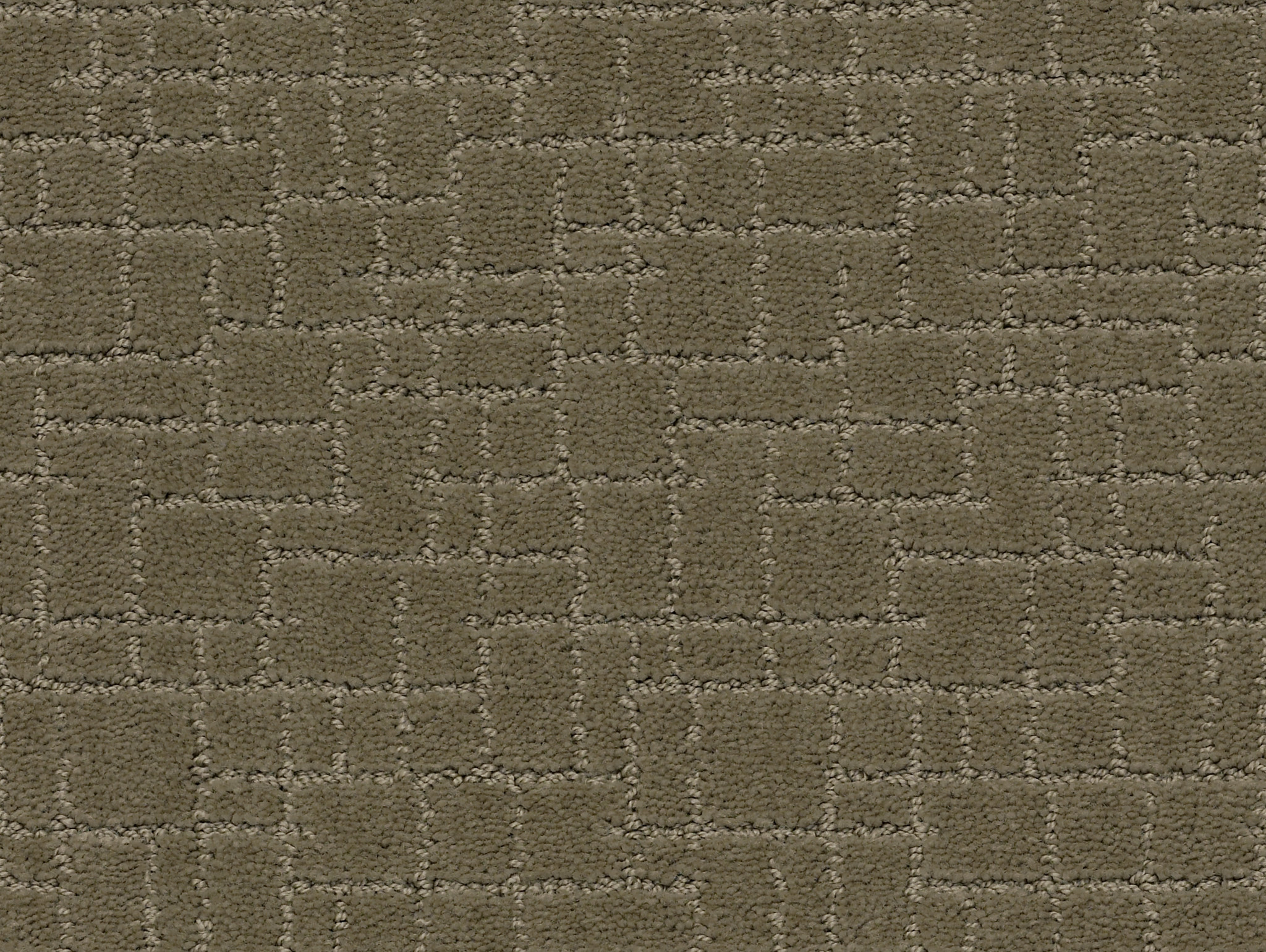 FAUX PAW DRY SAGE MAIN