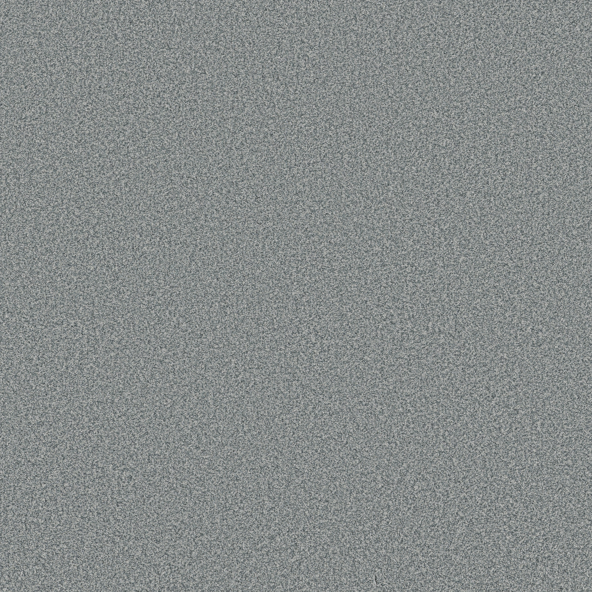 SOMERSET CALYPSO MAIN