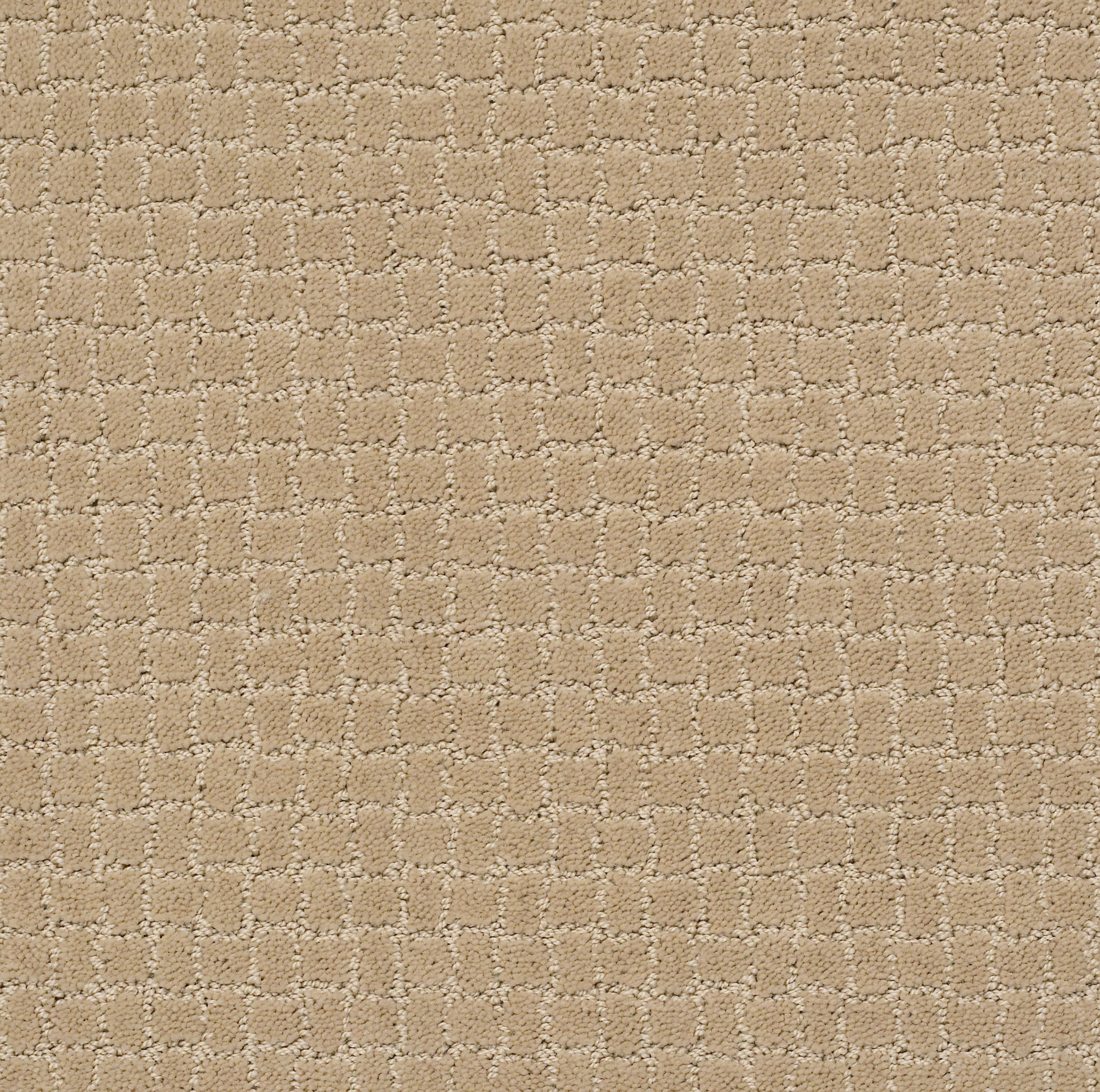 PAWSTRUCK MONTEREY MAIN