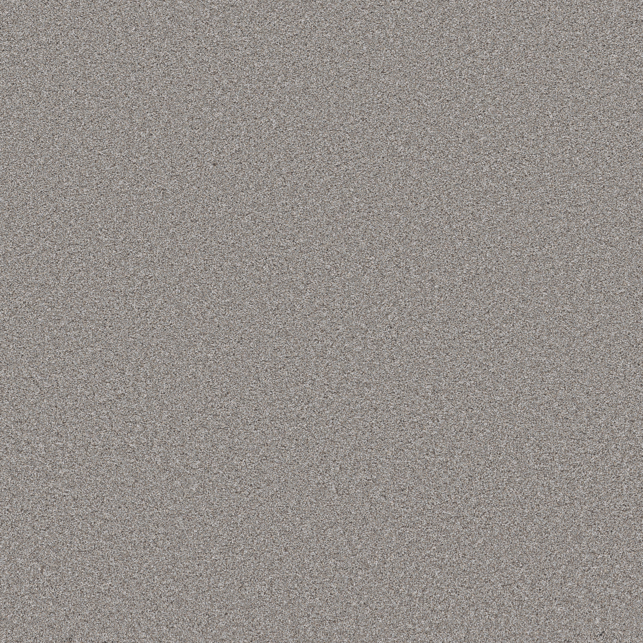 WONDERLAND III 12' GREIGE MAIN