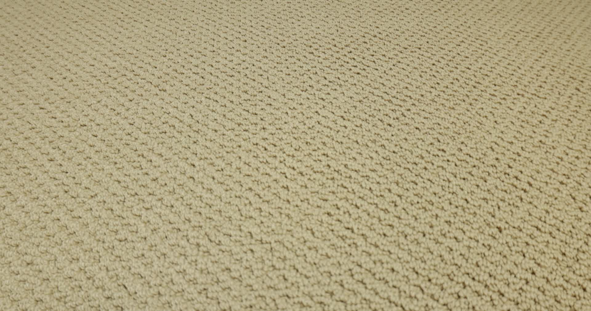 GRACIOUS PLATEAU 360PROD