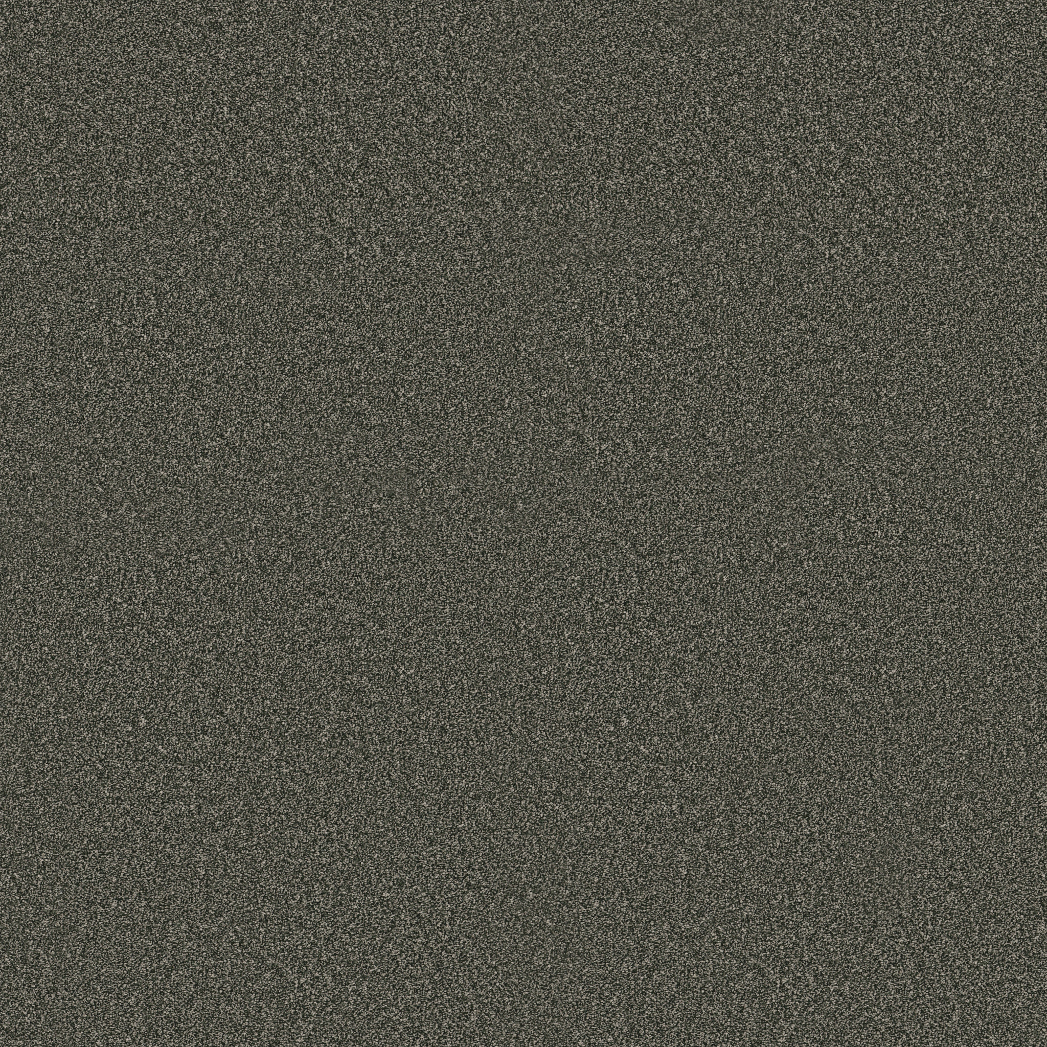 CLASSIC TONE EVERGREEN MAIN