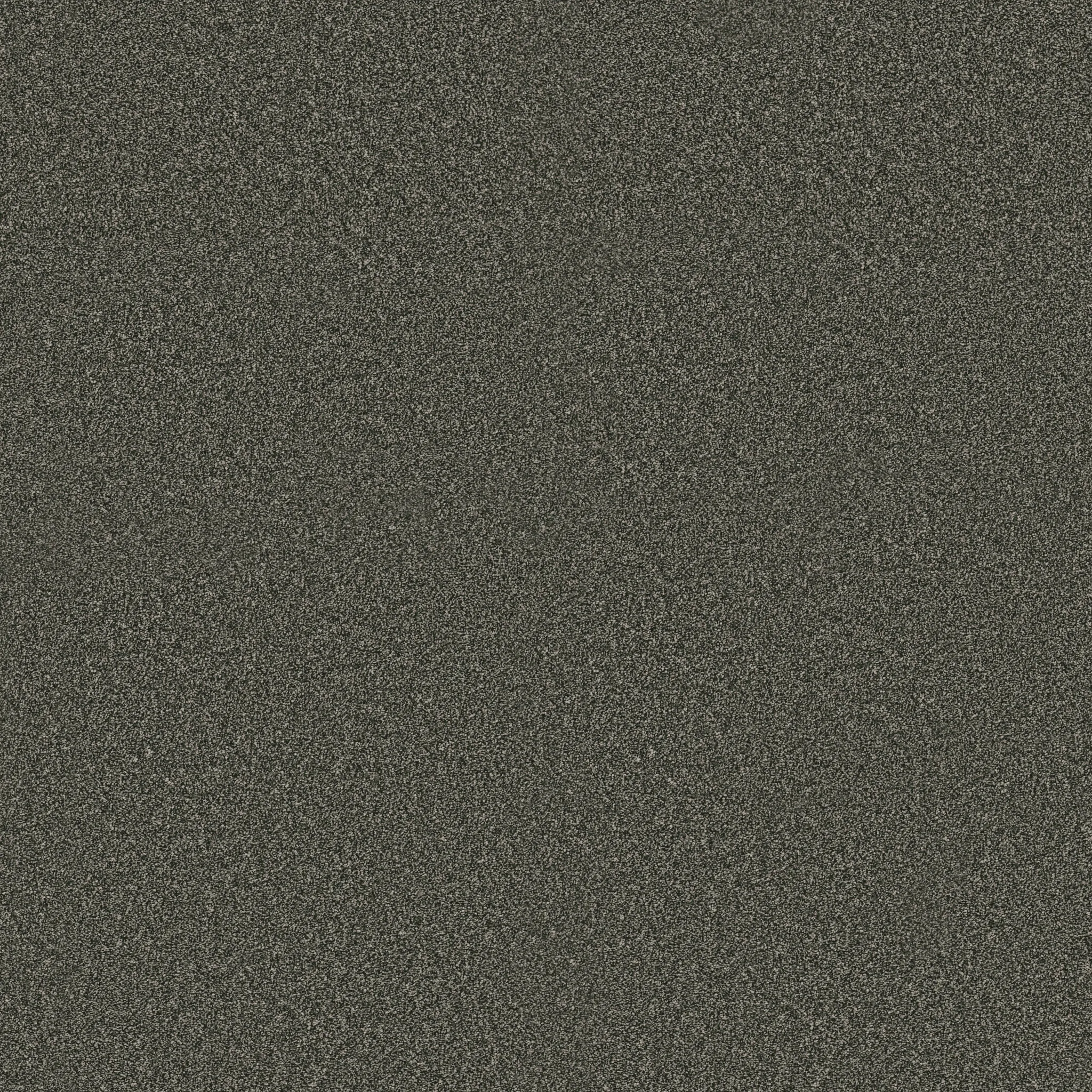 carpet-flooring-experience-the-luxurious-texture-of-softbac-platinum-broadloom-carpet-for-ultimate-comfort